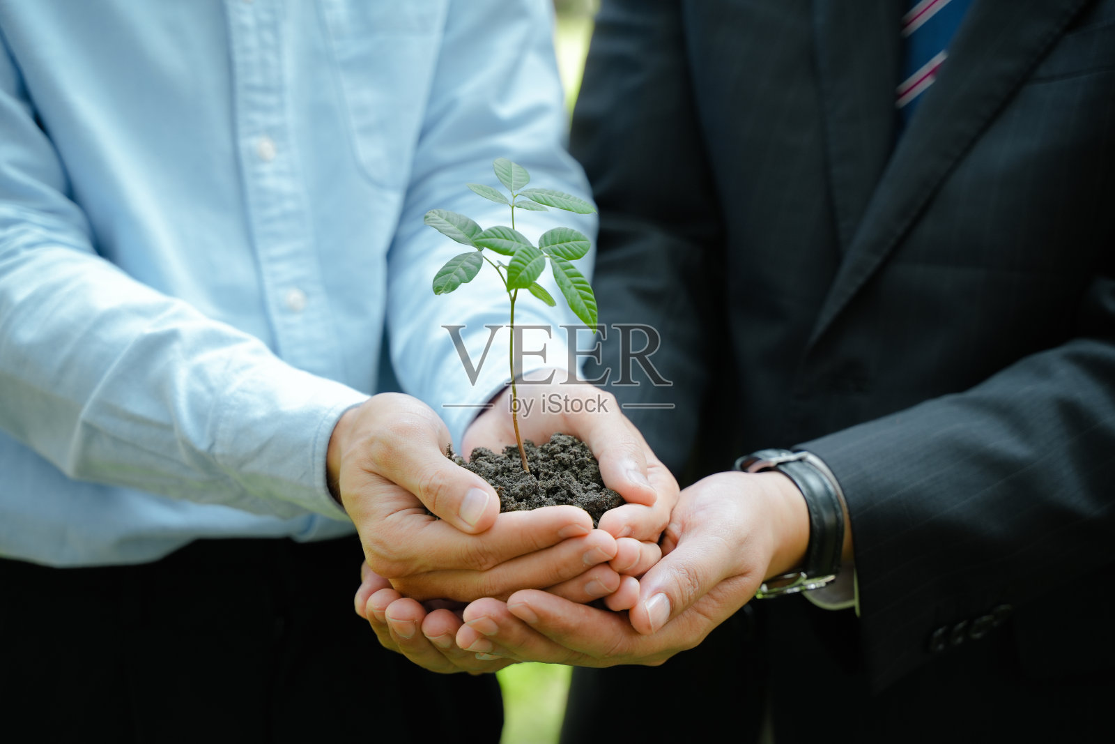 一群志愿者手里拿着小植物。世界环境日理念，社区服务和自然团体志愿者为可持续发展的环境。志愿者植树是在照顾世界。照片摄影图片