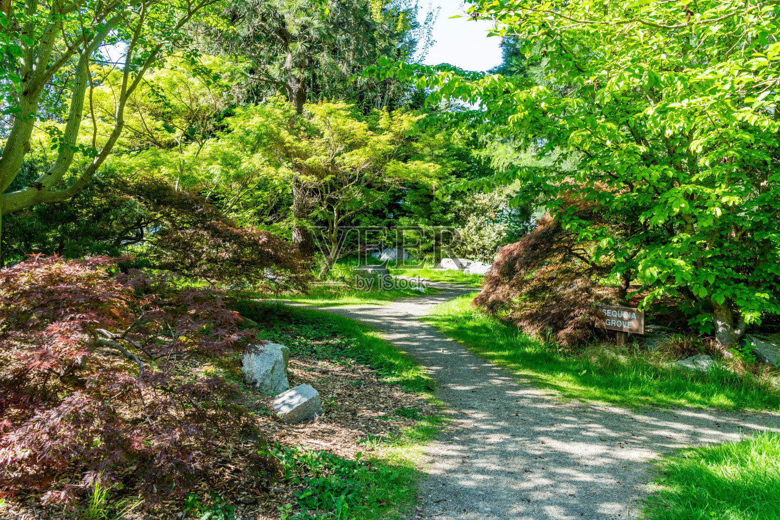 书院花园径照片摄影图片