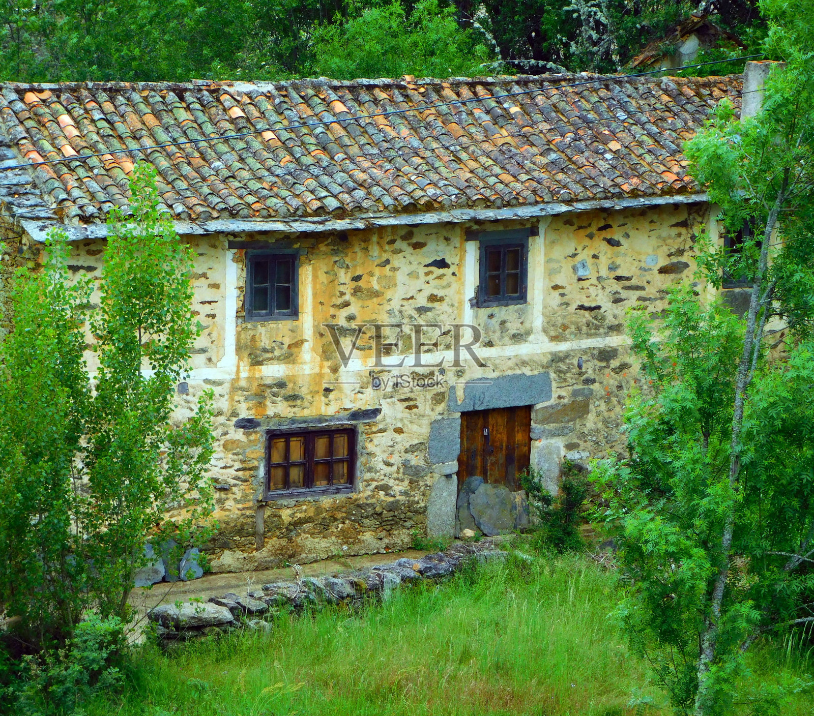 西班牙萨莫拉多纳迪略的乡村风光照片摄影图片