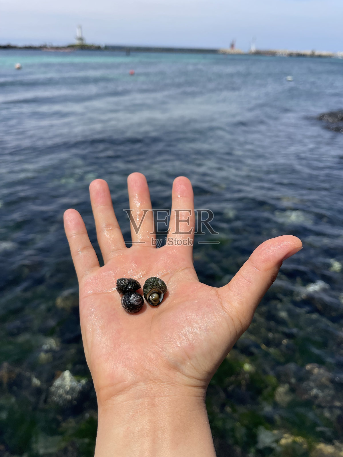 济州岛的自然景观。照片摄影图片