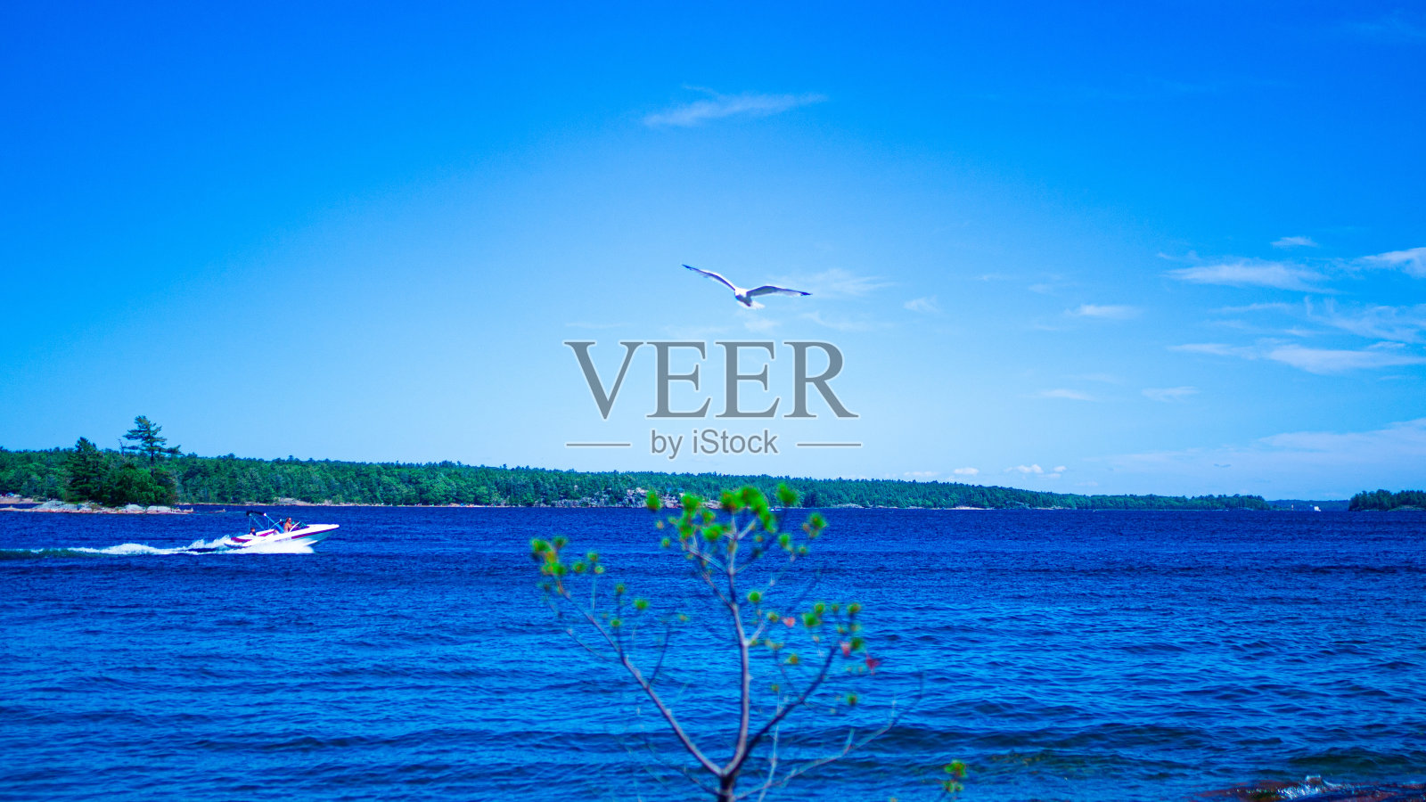 夏天照片摄影图片