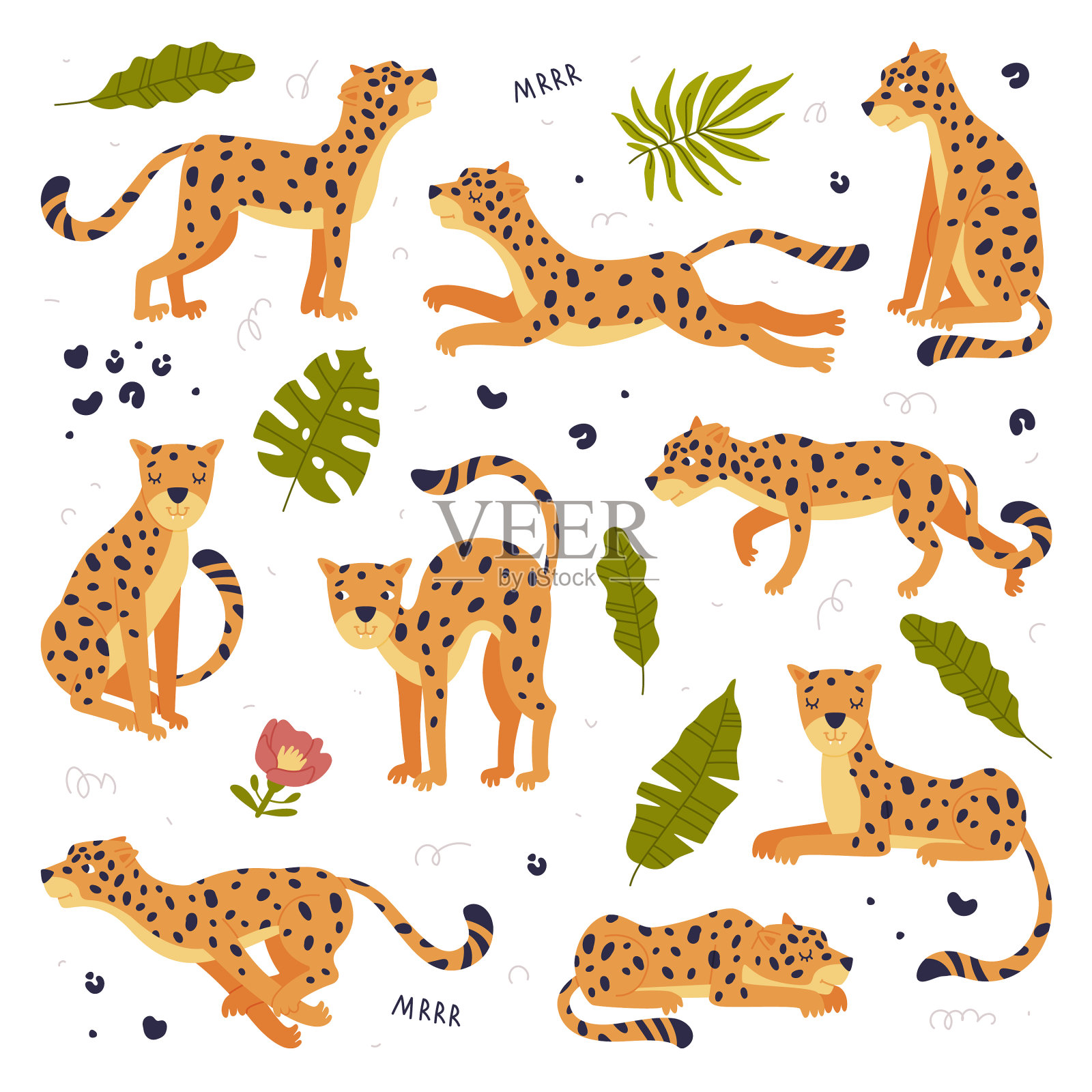 可爱的小豹子集可爱的野生捕食者插画图片素材