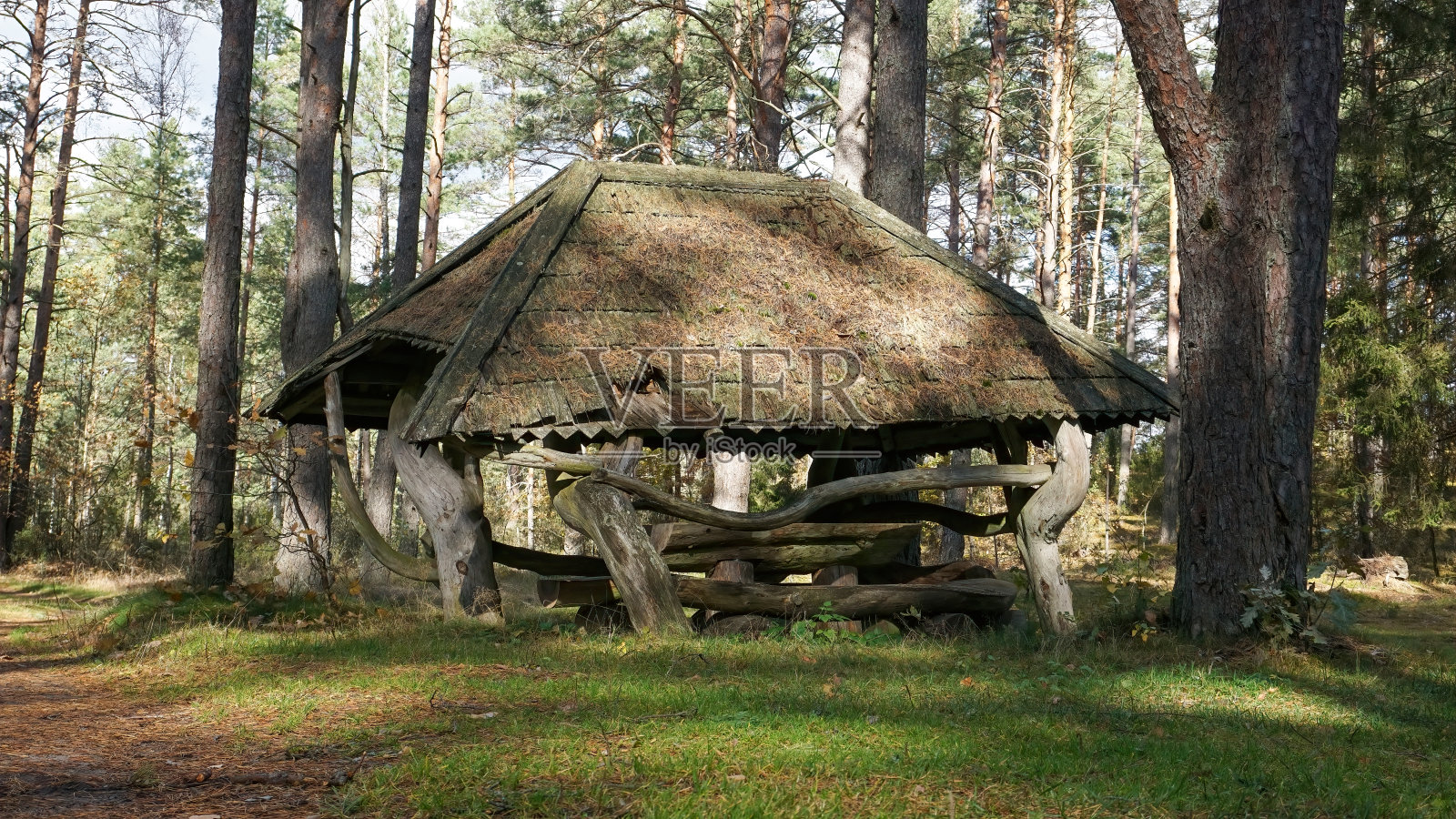 古老而公共的户外度假胜地，在森林中间，有桌子、长凳、谷仓。一切都是木头做的。照片摄影图片