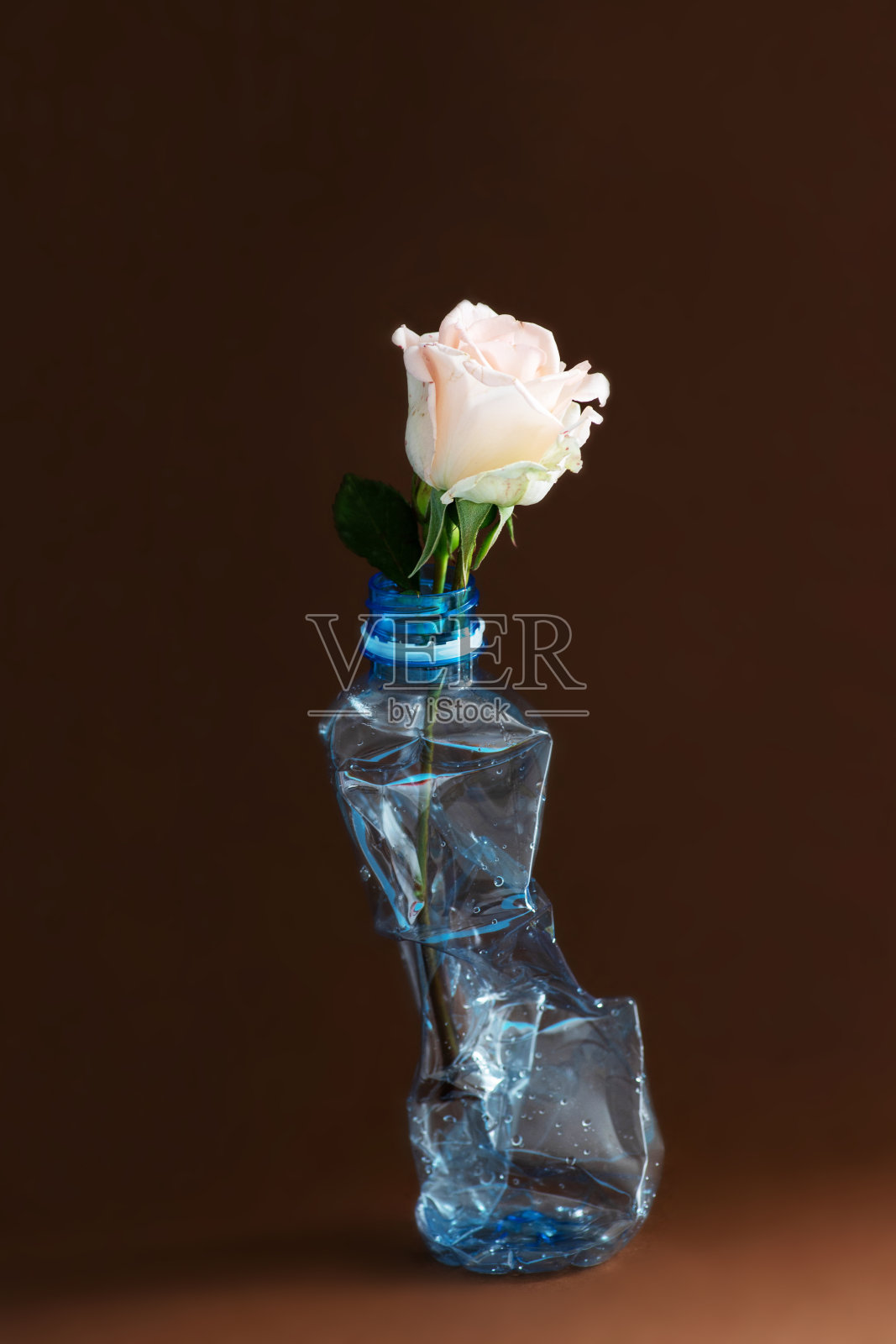 一个空的塑料瓶，里面有一朵玫瑰花，棕色的背景。从塑料污染中拯救地球的概念。前视图。有选择性的重点。副本的空间。照片摄影图片