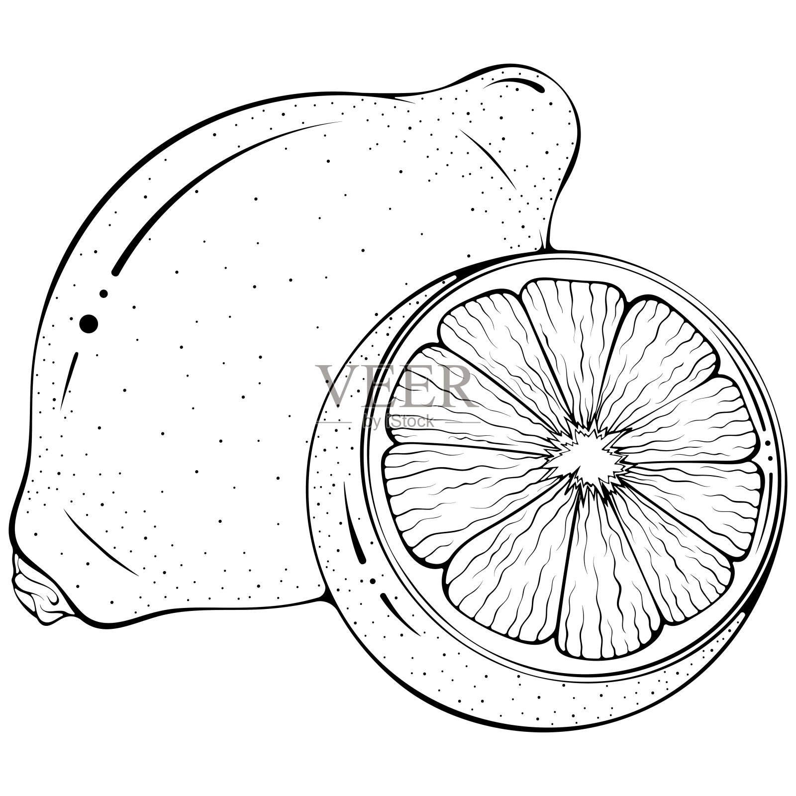 整个和半个柠檬线艺术插画图片素材