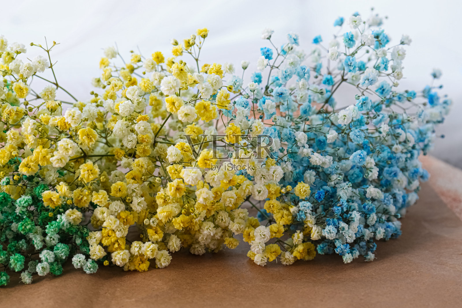 牛皮纸上美丽的吉思莲花，特写照片摄影图片