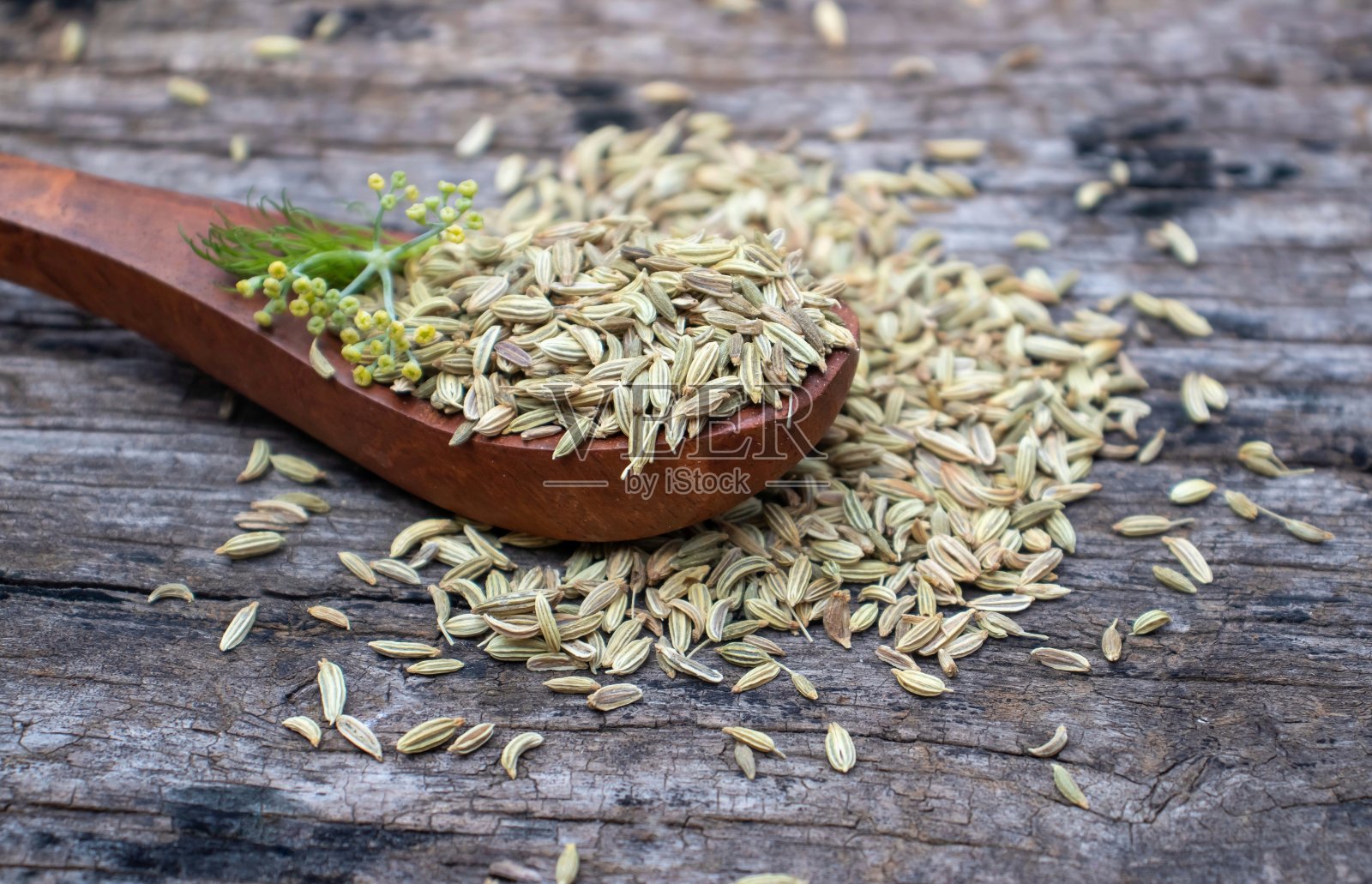 特写茴香种子和花在木勺孤立木制背景照片摄影图片