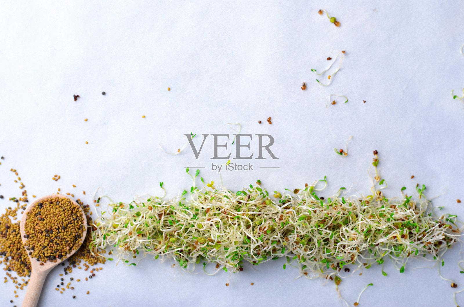 新鲜的绿色有机苜蓿芽在明亮的背景照片摄影图片