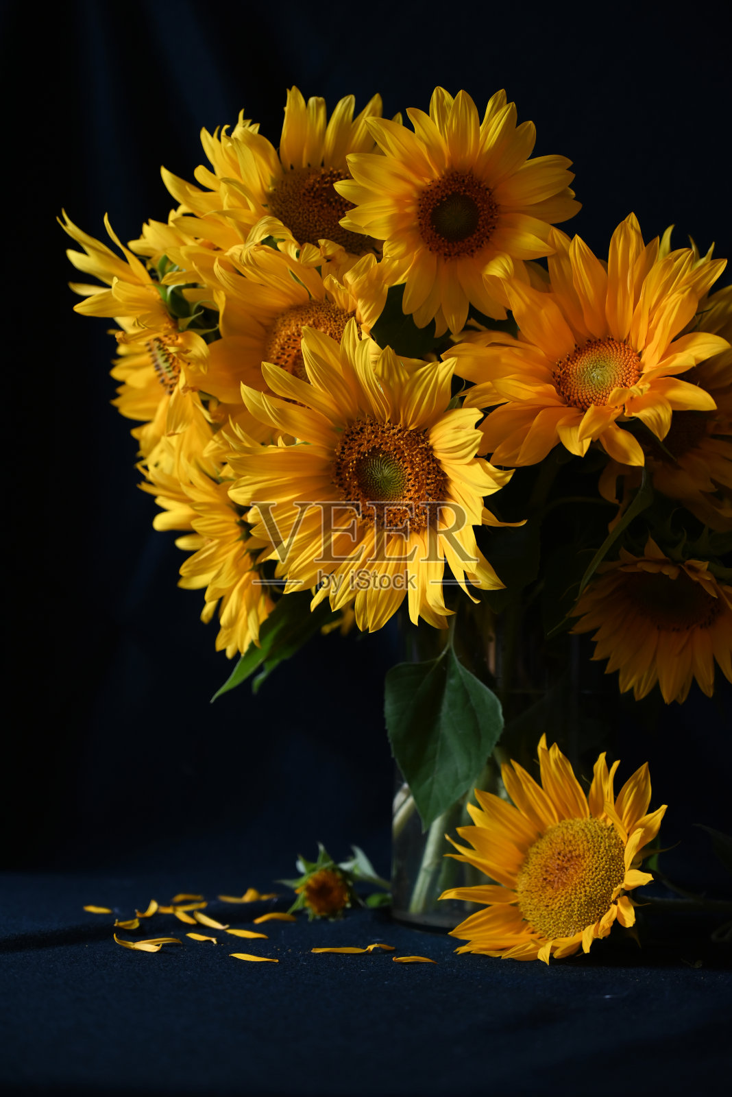 罐子里的一束向日葵。一束向日葵上的静物画。照片摄影图片