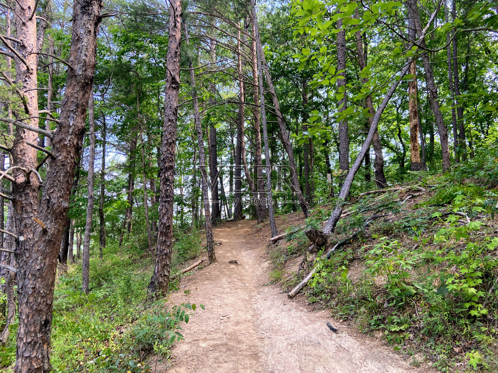 橡树山州立公园照片摄影图片
