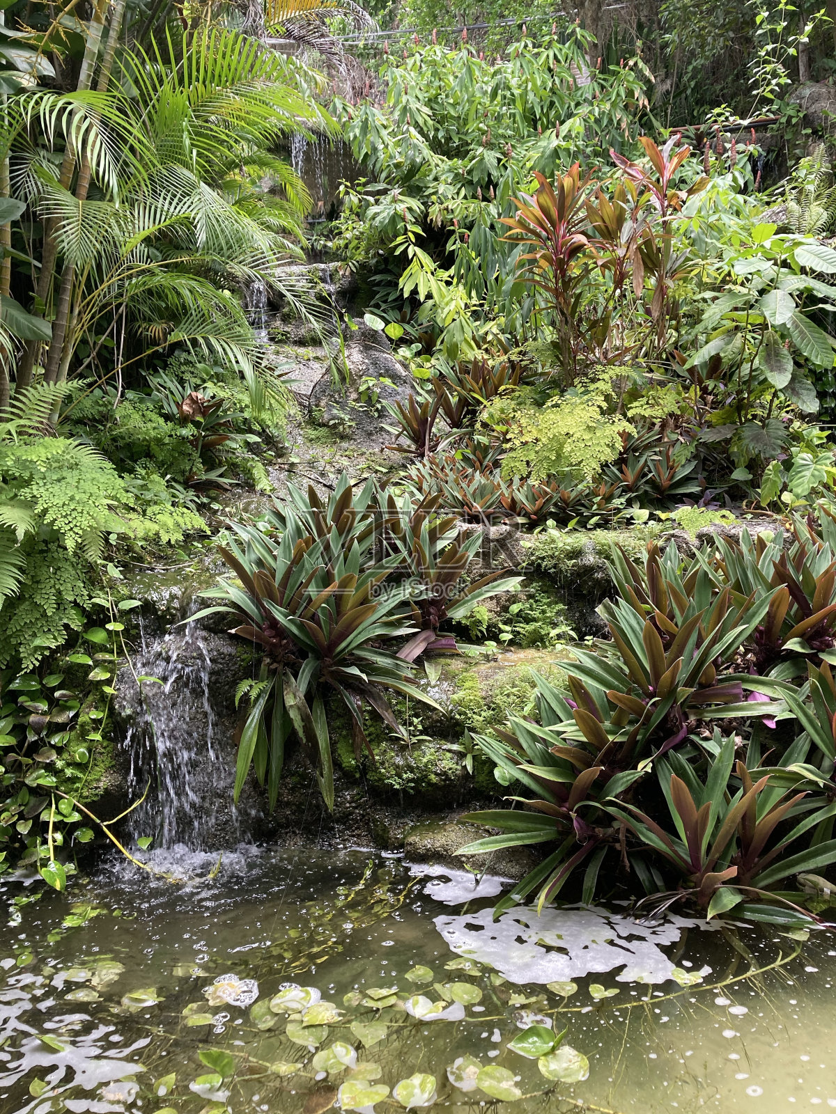 大自然的味道照片摄影图片