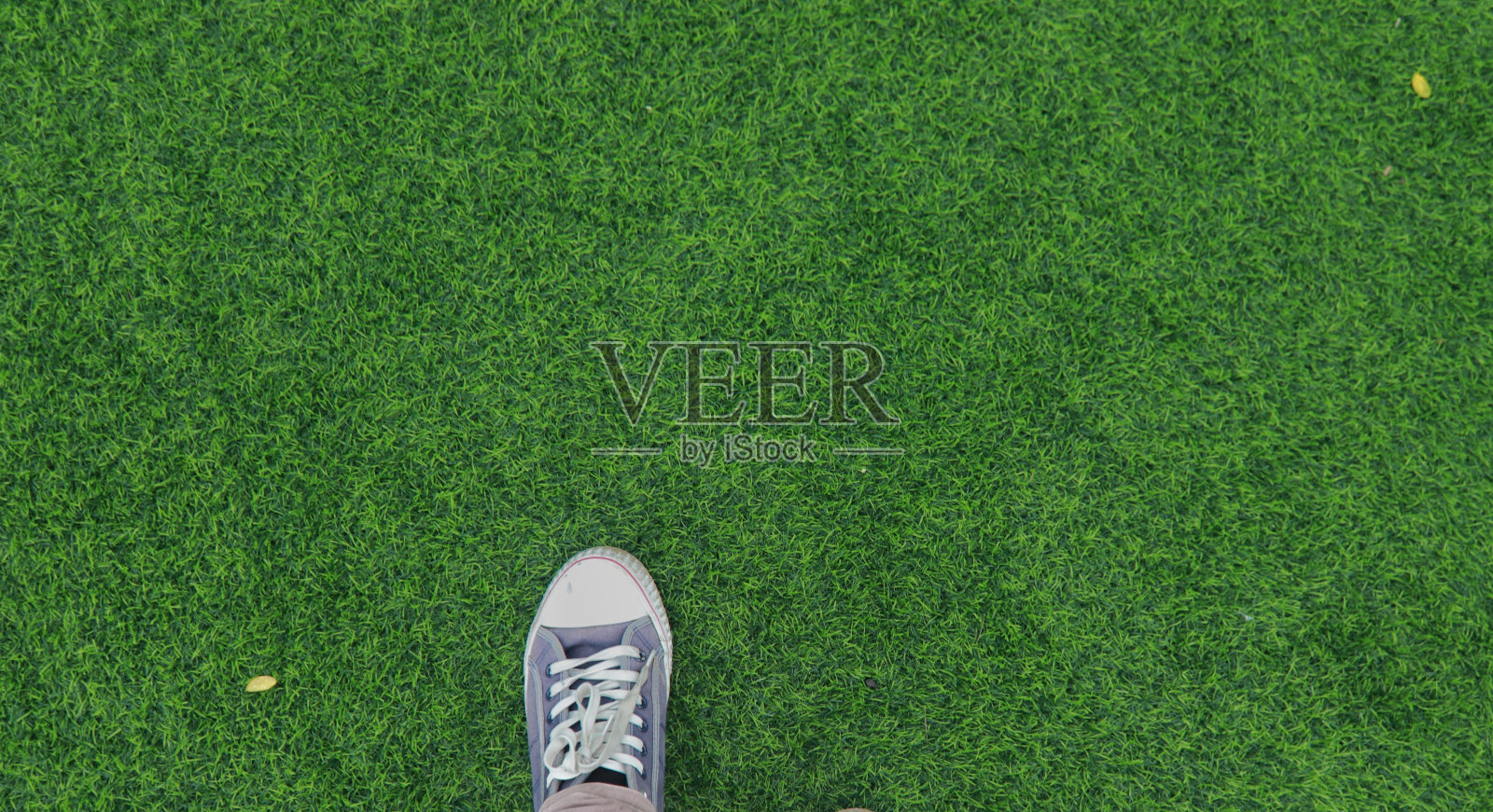 草地上的海军蓝运动鞋照片摄影图片