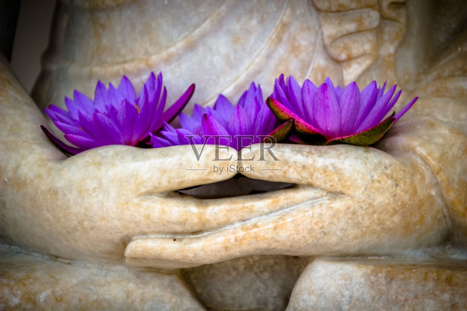 紫色的花朵坐在佛陀的手中，好像他们拿着一尊雕像照片摄影图片