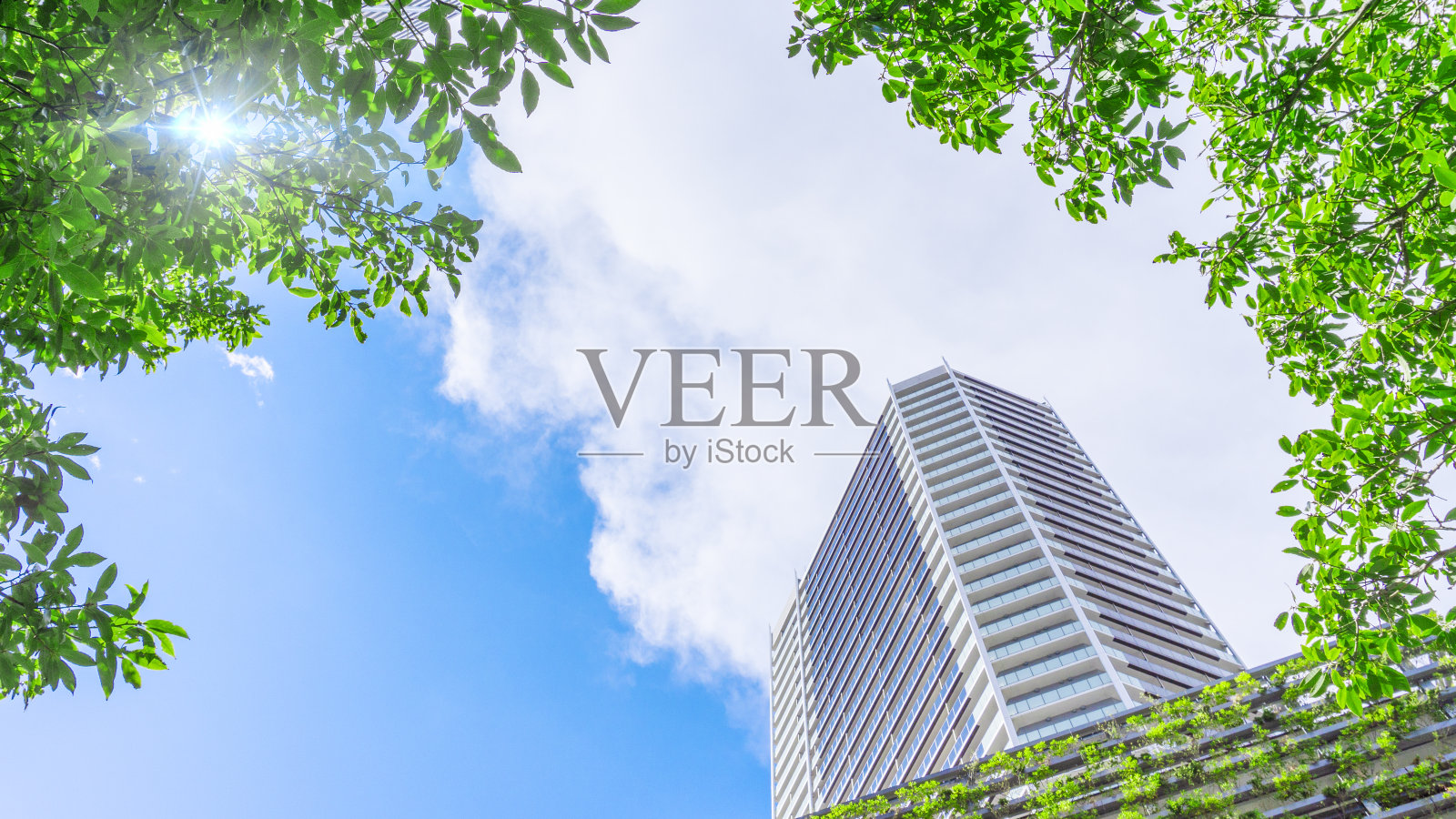 高层公寓的外观和清新的蓝天景色照片摄影图片