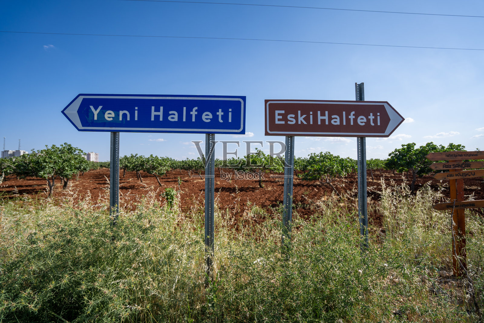 三留尔法新哈尔菲提和老哈尔菲提路标照片摄影图片