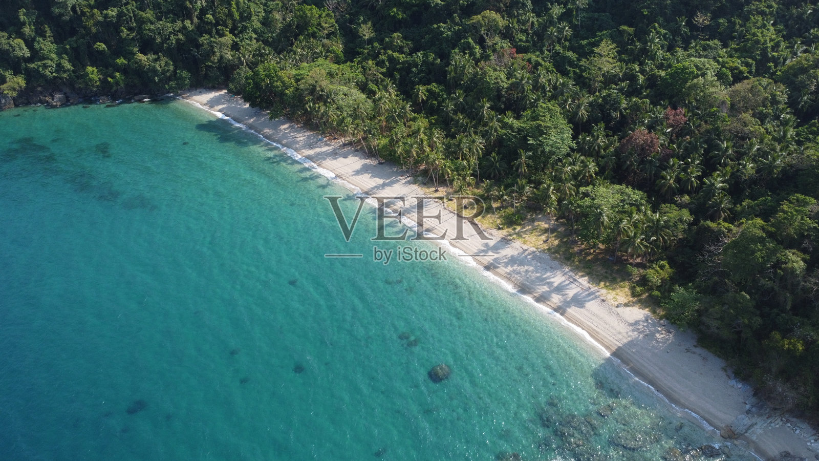 热带景观。照片摄影图片