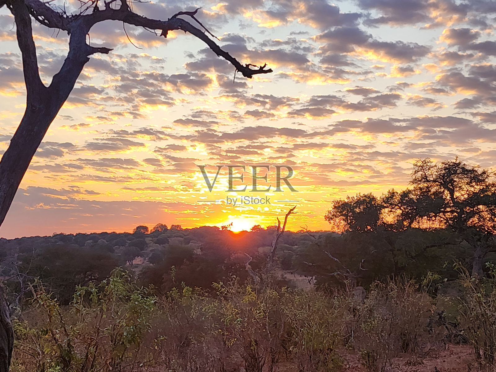 博茨瓦纳的日出照片摄影图片