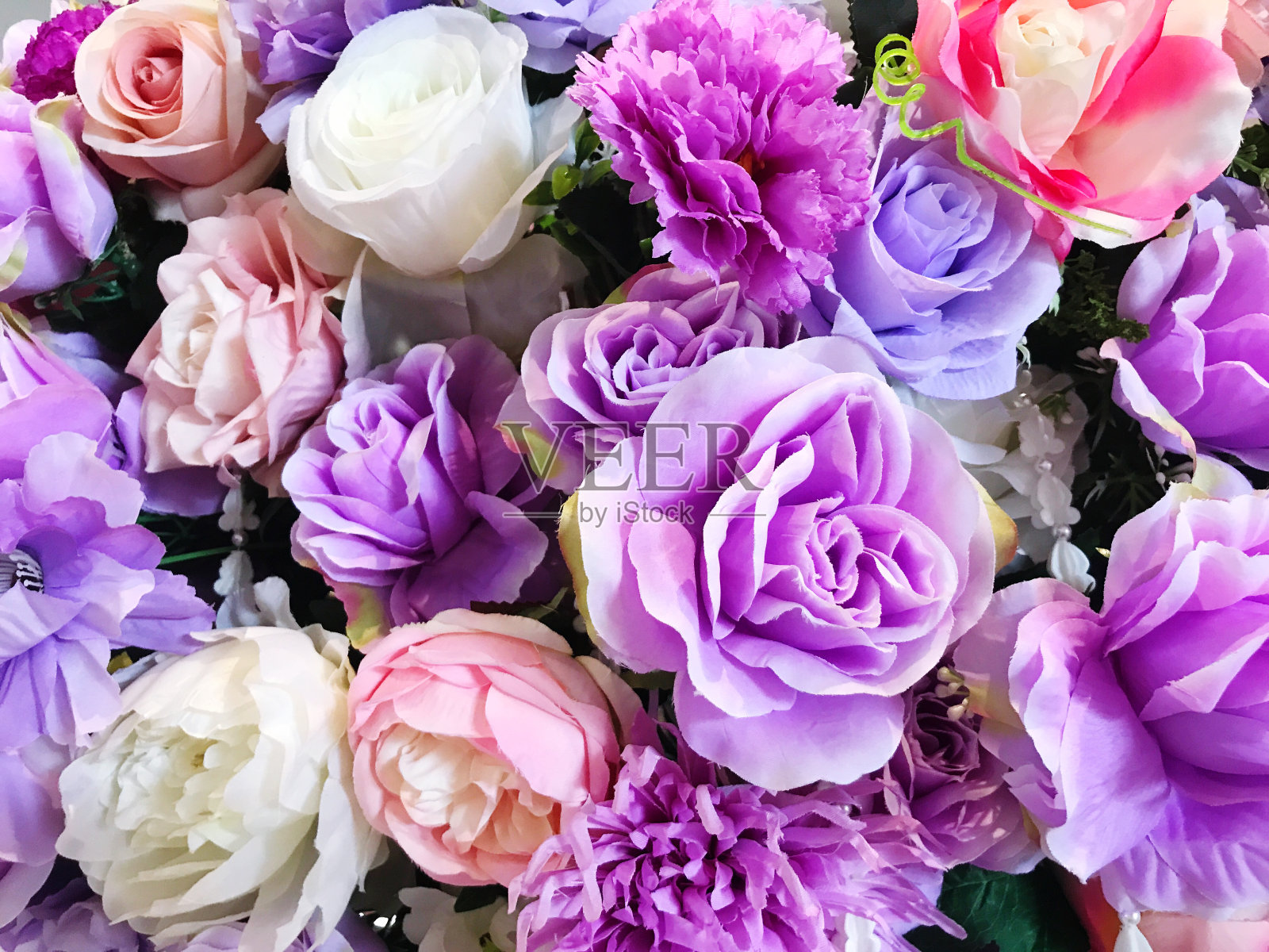 紫玫瑰和其他观赏花的形象照片摄影图片