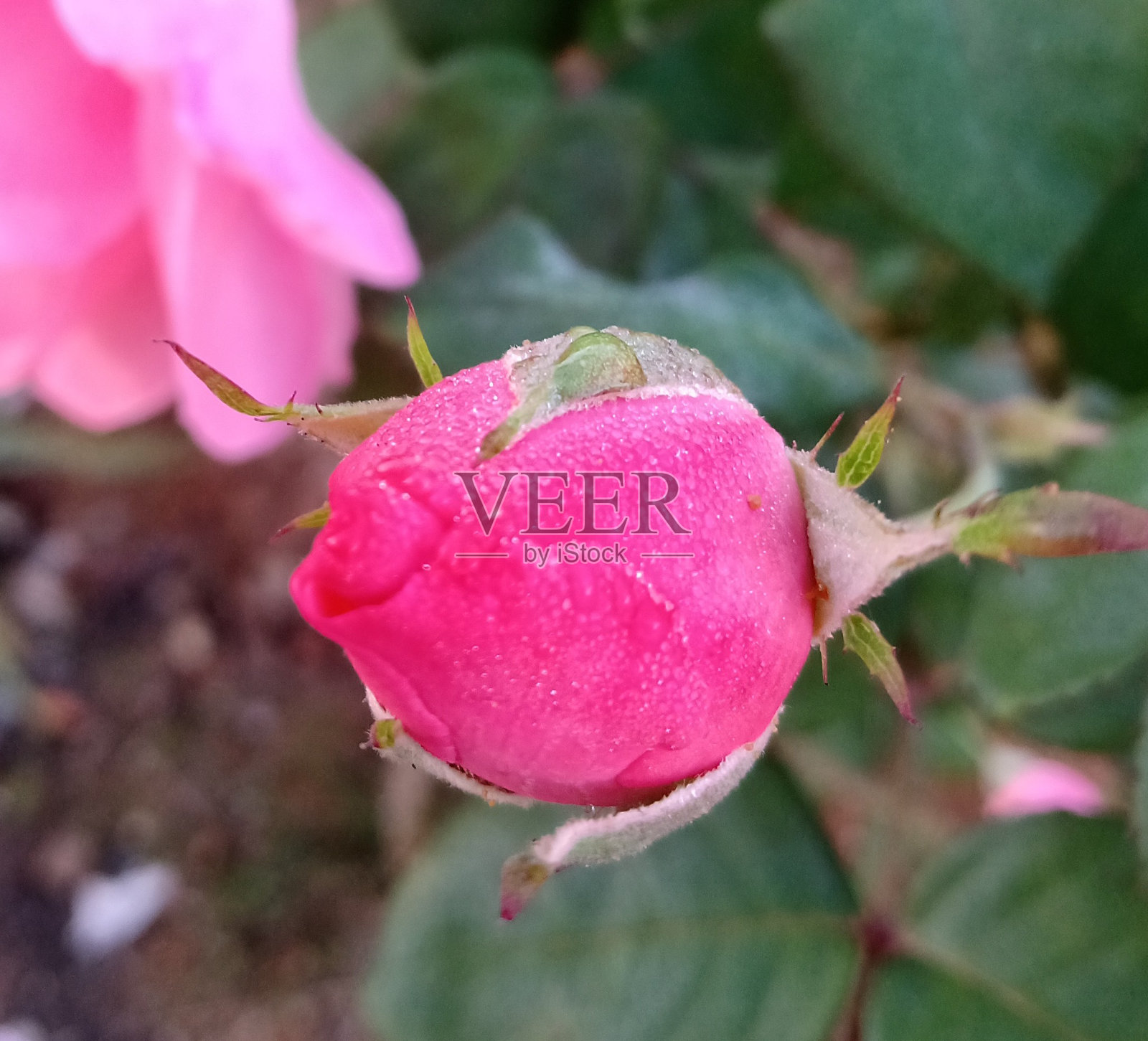 下降照片摄影图片