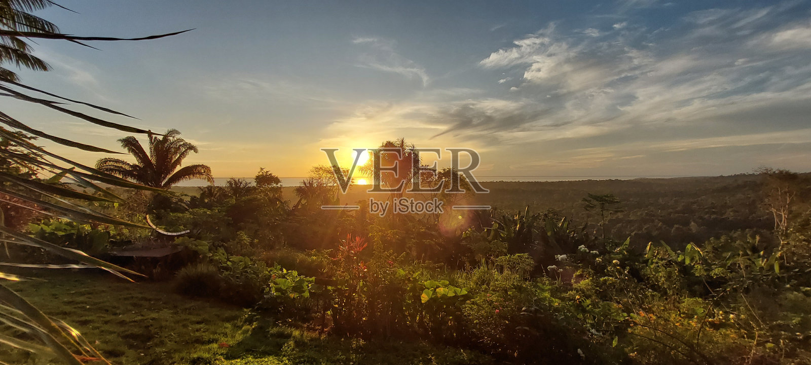 天然美女照片摄影图片