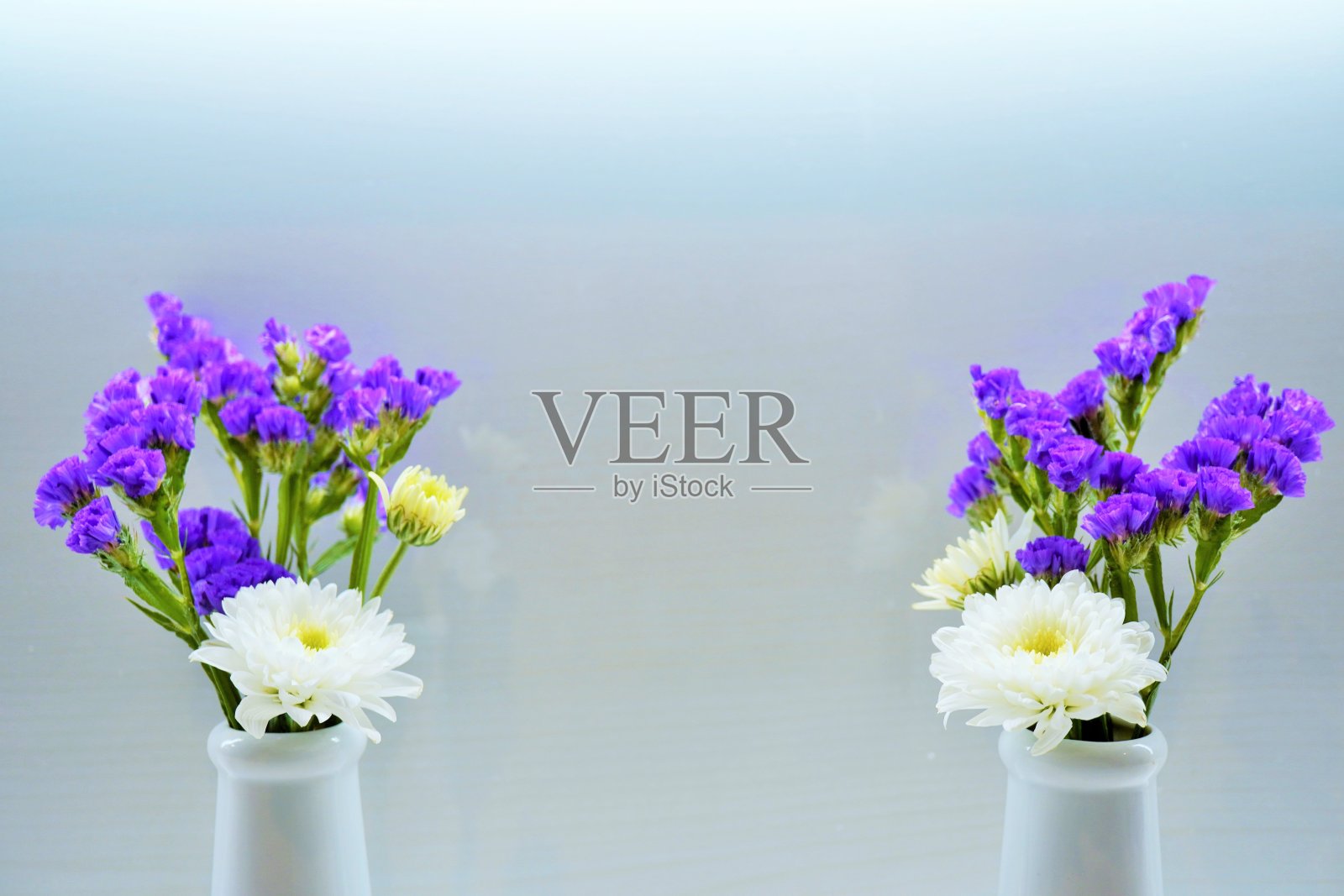 佛教祭坛上的两组白色小菊花和紫色紫檀花的特写，摆放在白色背景的陶瓷花瓶中照片摄影图片