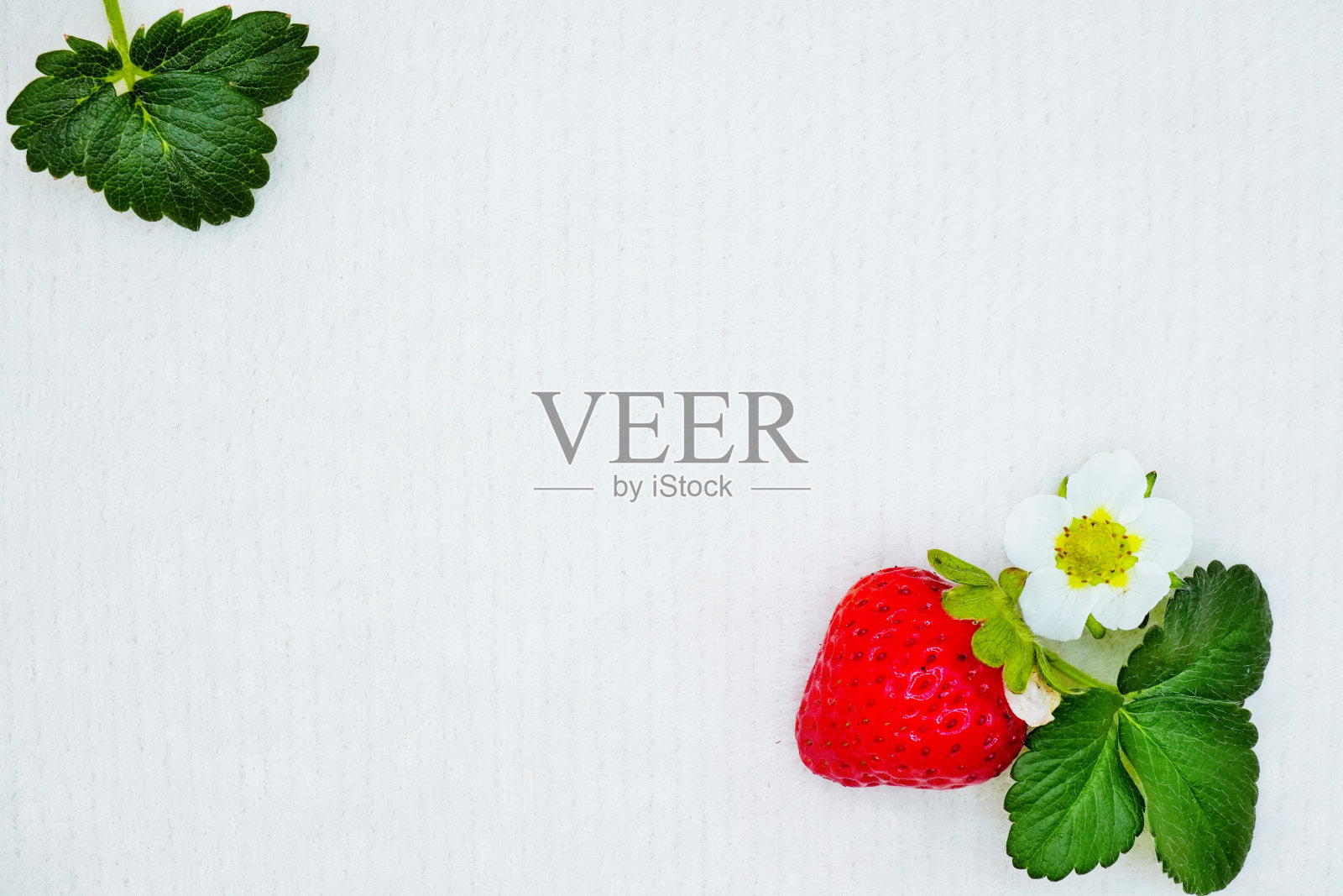 壁纸背景材料以红草莓、白花和绿叶装饰在白色背景的蓬松布上照片摄影图片