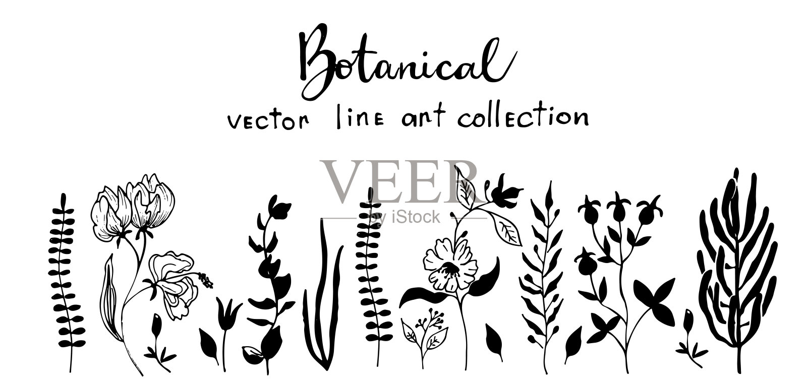 水平横幅或花卉背景装饰华丽盛开的花朵和叶子边界。插画图片素材