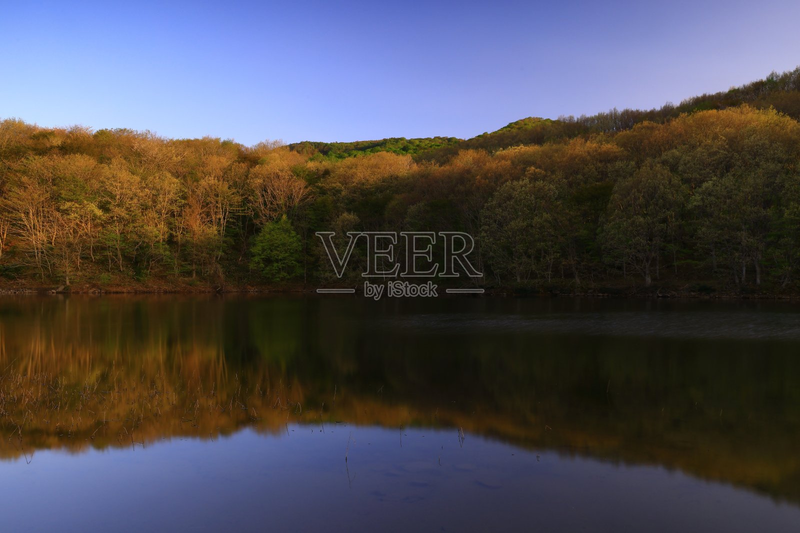 清新的青山风光照片摄影图片