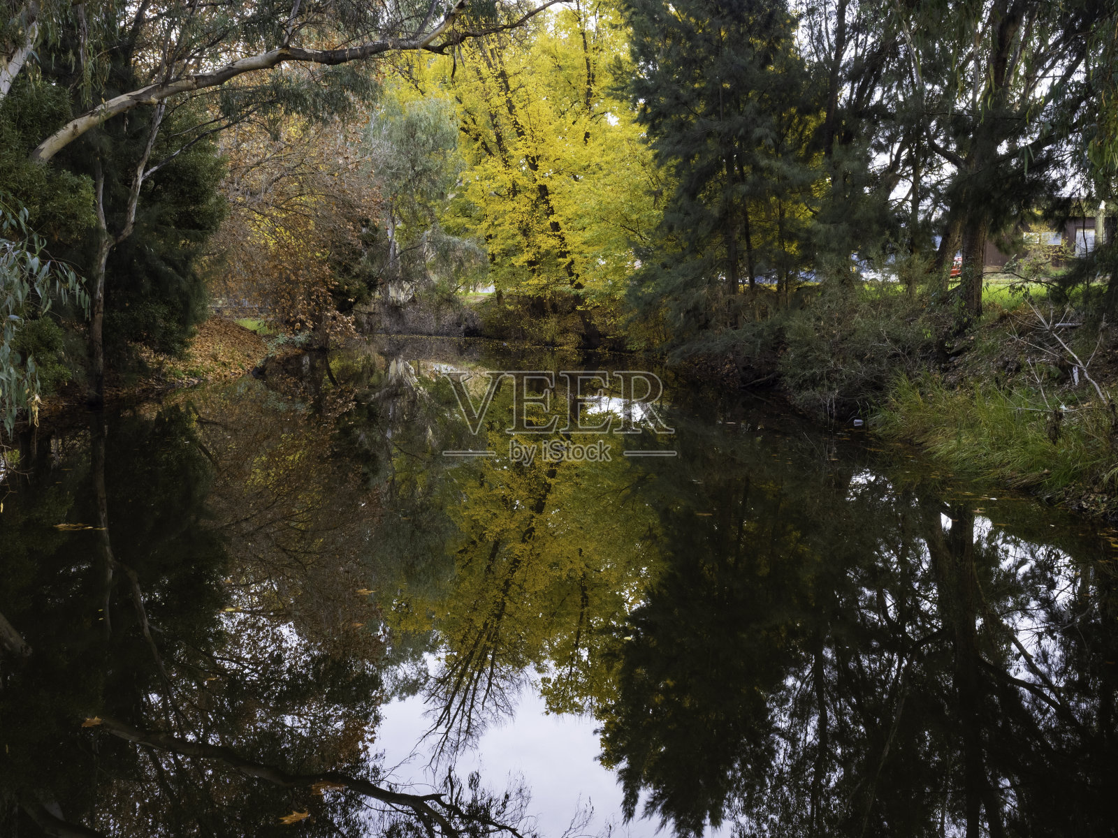 江畔秋色照片摄影图片