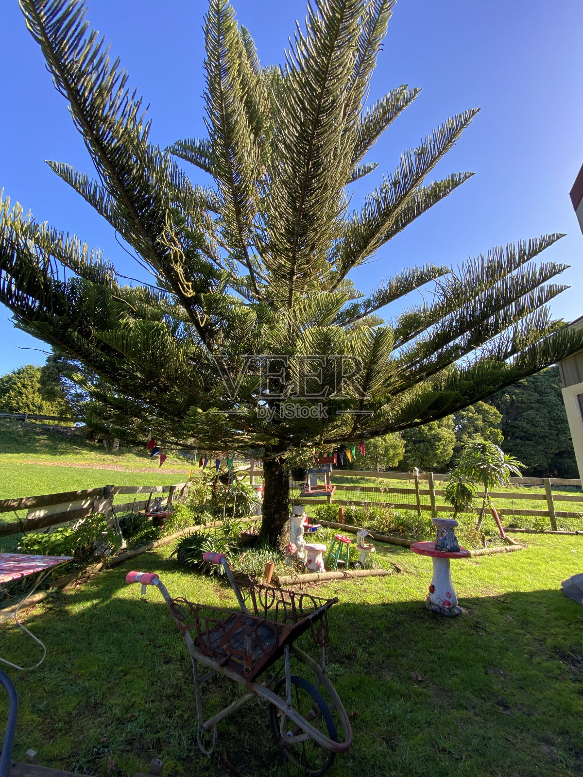 自然-永远照片摄影图片