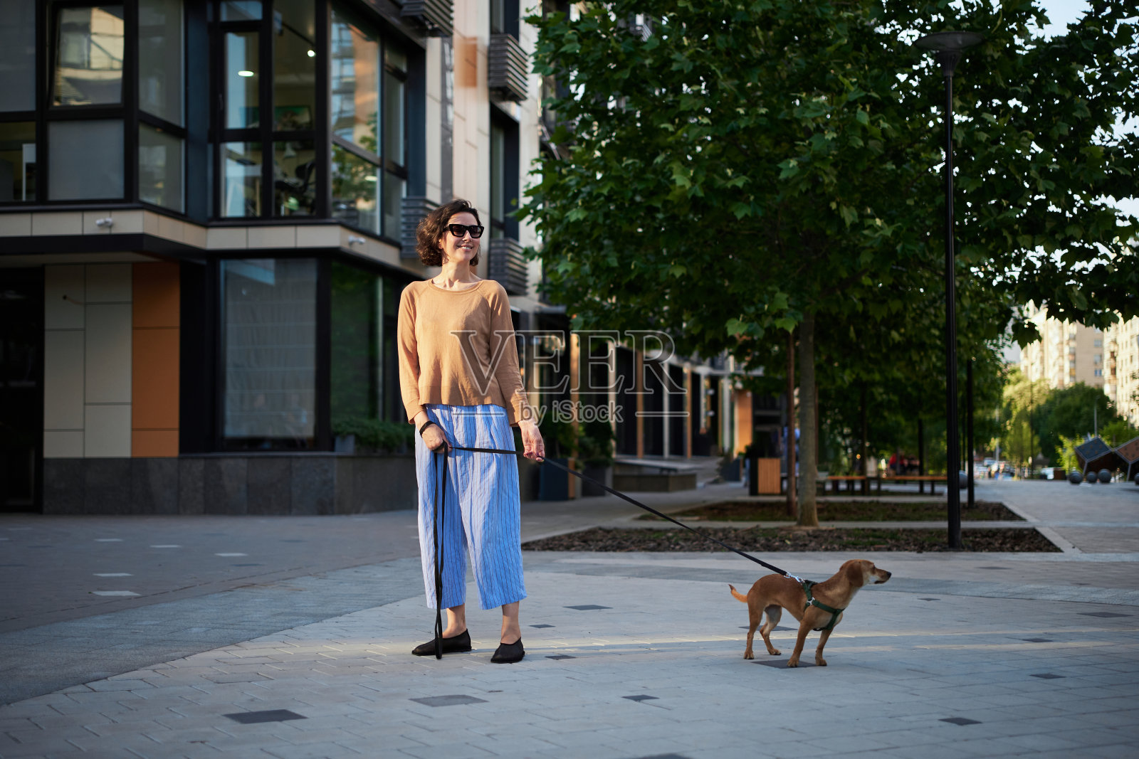 年轻漂亮的成年女性带着小狗在碧城散步，玩得很开心照片摄影图片