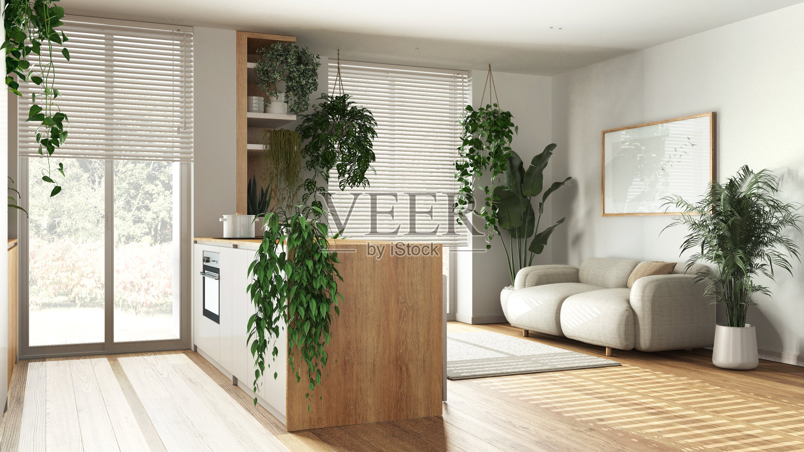 现代木制厨房和白色色调的客厅，配有岛，沙发，窗户和电器。亲生物的概念，许多室内植物。都市丛林室内设计照片摄影图片