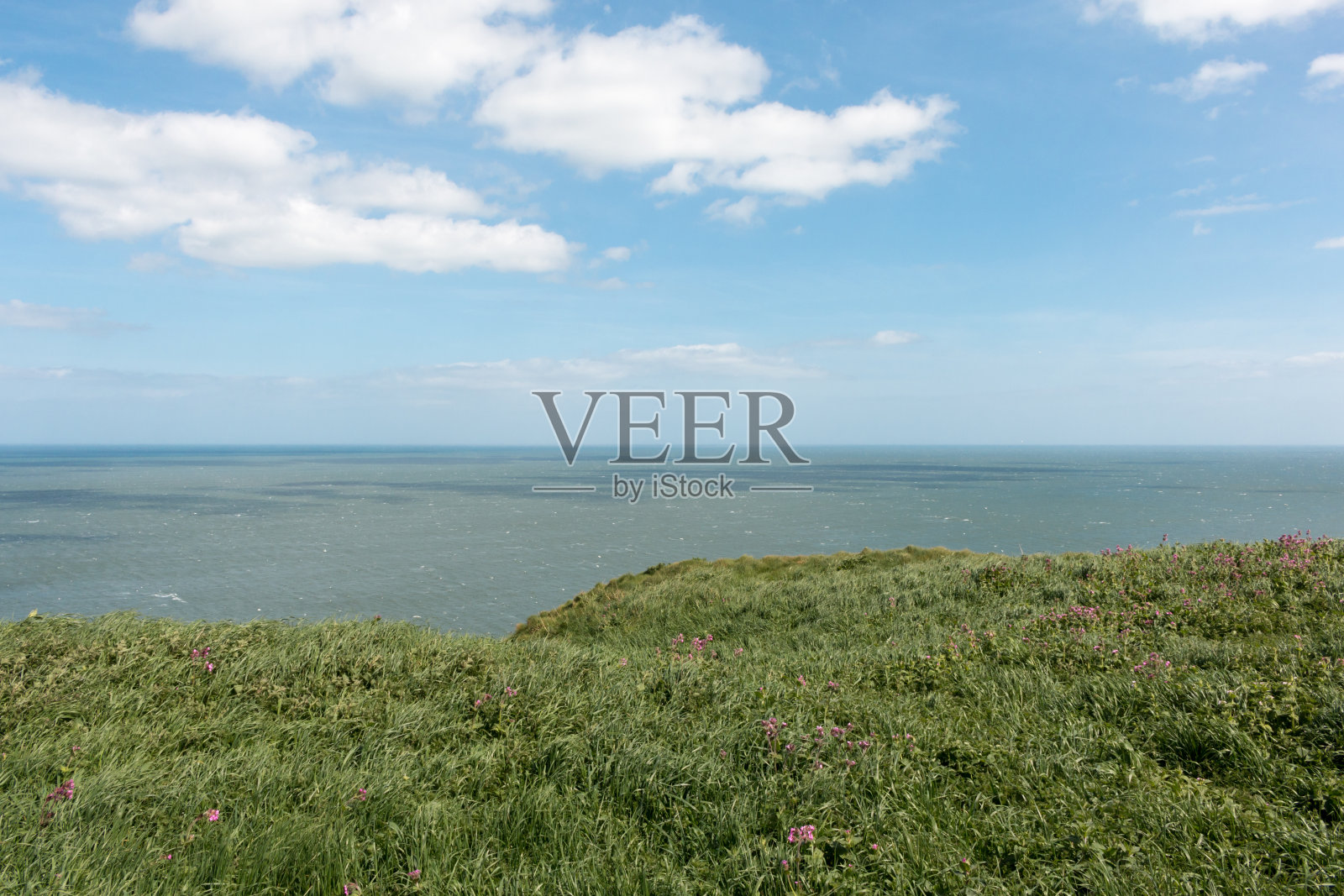 东海岸照片摄影图片