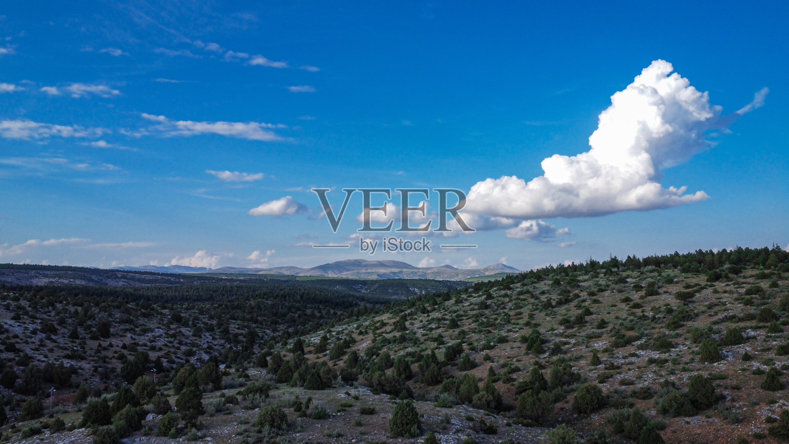 用无人机拍摄的科尼亚城市森林照片摄影图片