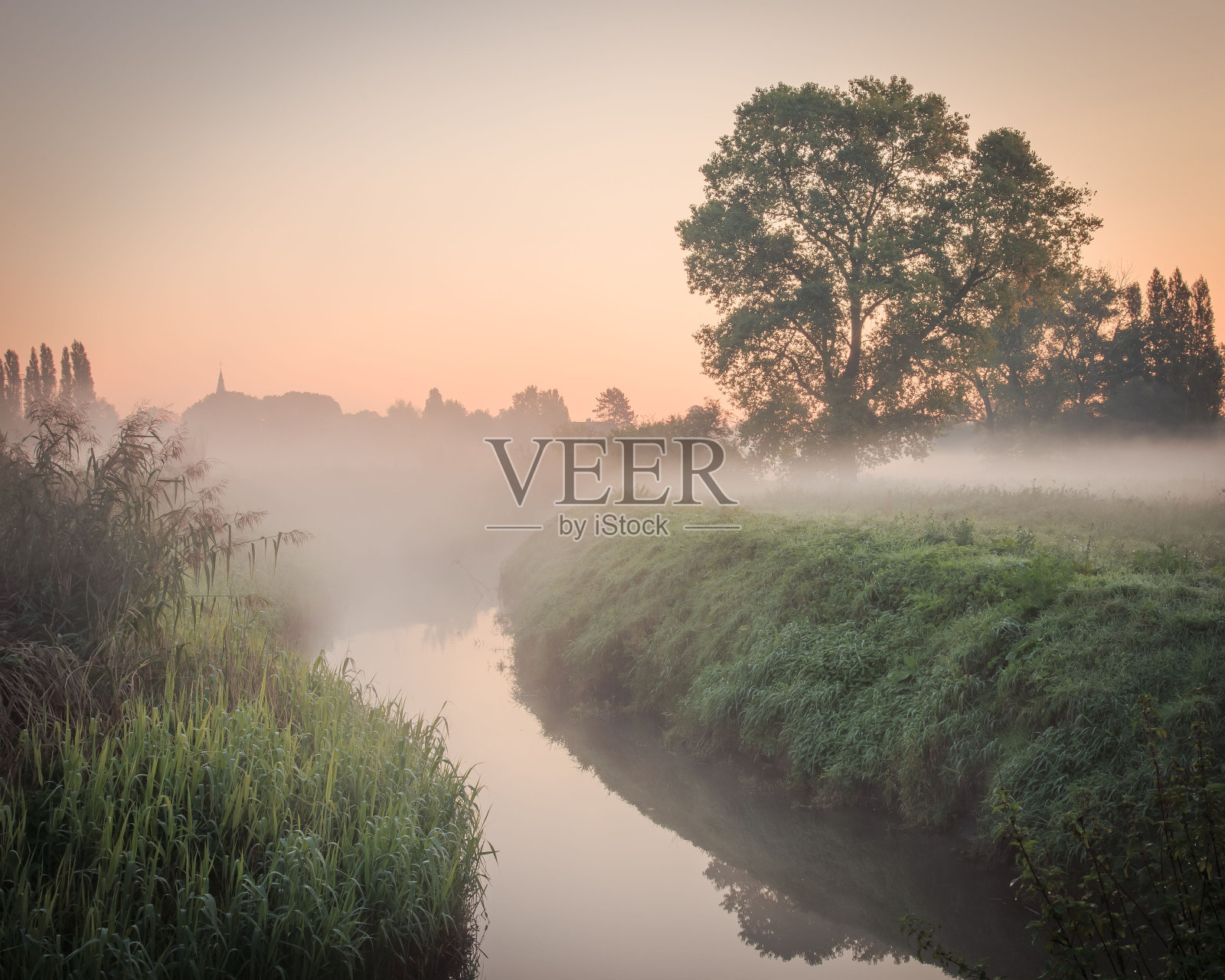 美丽的日出景色，有雾的乡村草地和沿着海岸线的树木照片摄影图片