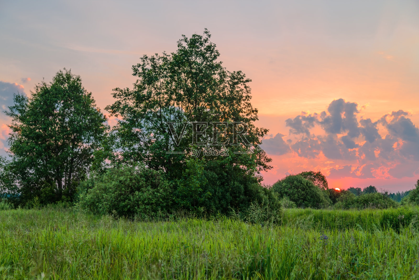 夏日田野的夕阳照片摄影图片