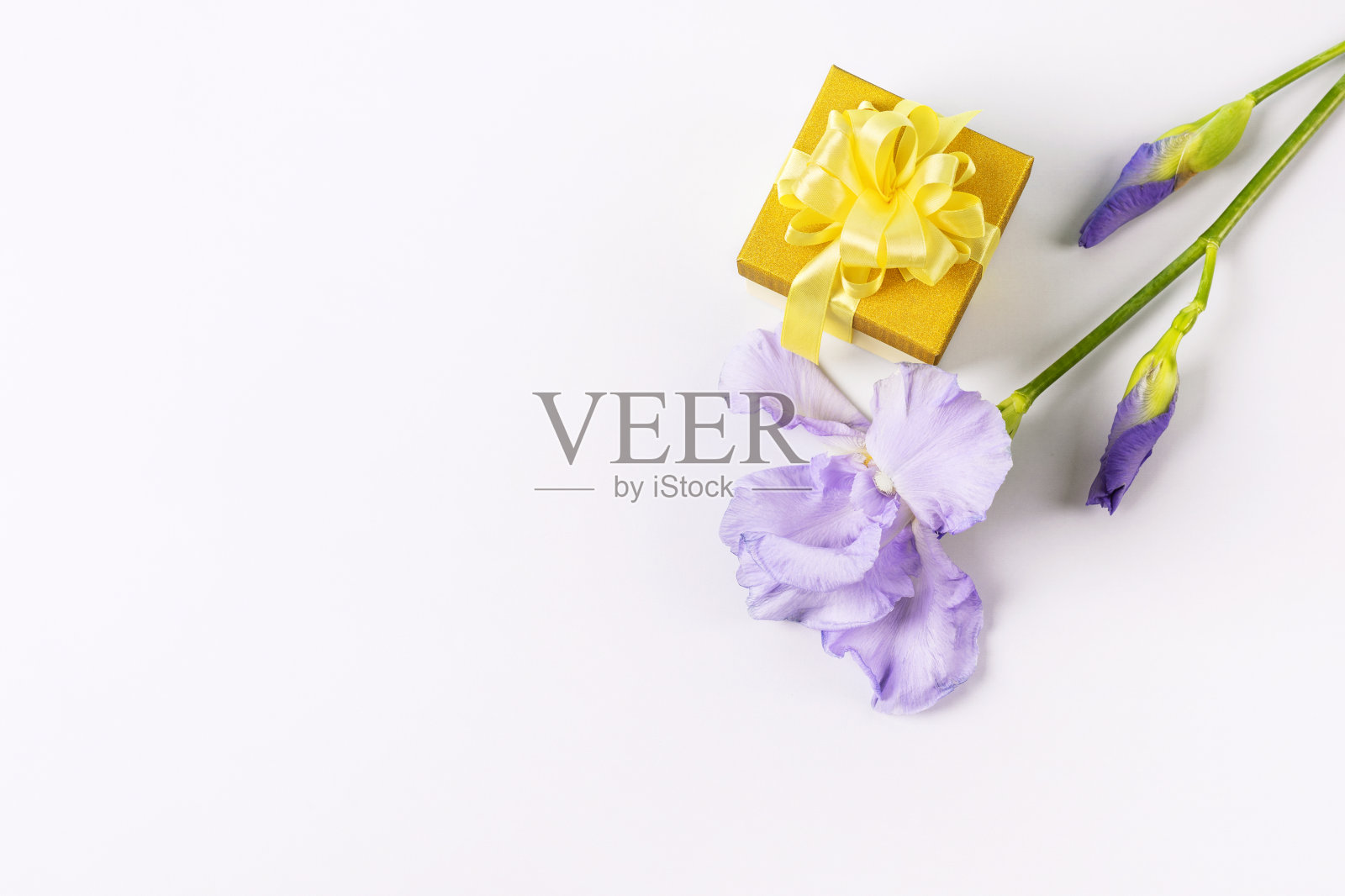 礼盒和紫色鸢尾花照片摄影图片