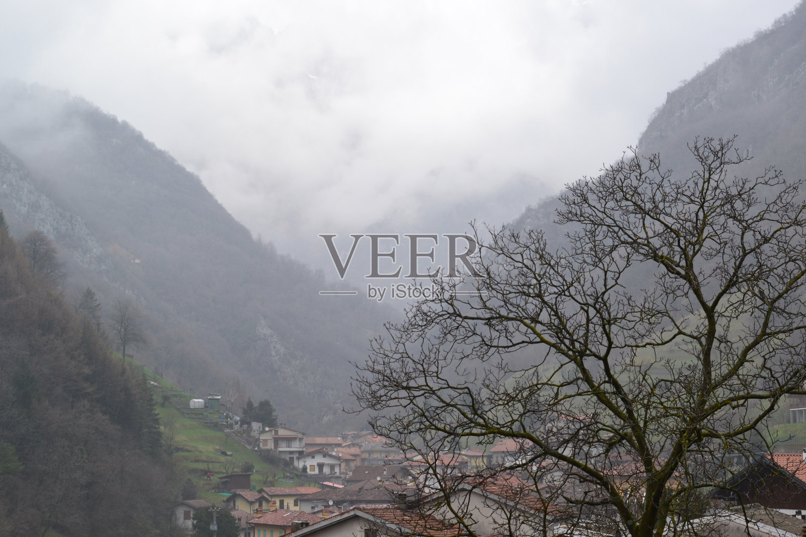 在雾蒙蒙的雨天里，山谷里美丽的春景尽收眼底。照片摄影图片