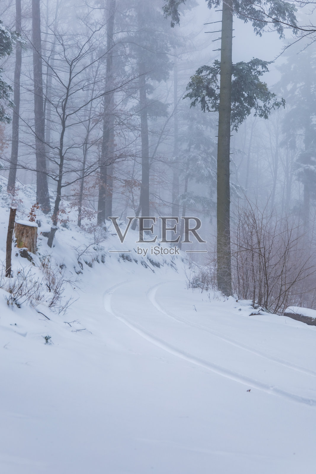 美丽的冬季景观，山间小道充满了新鲜和白色的雪和高大的树木照片摄影图片