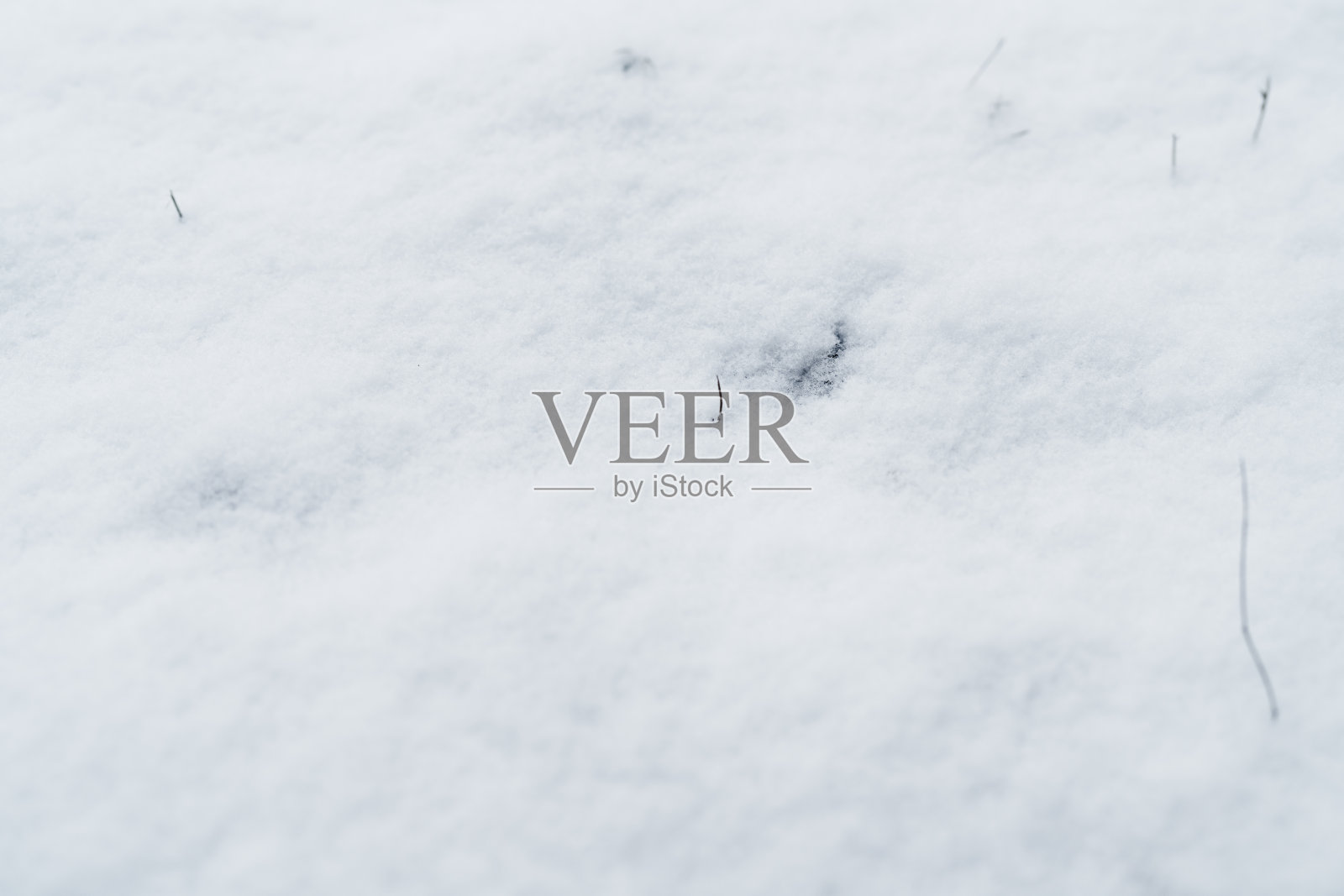 田野上新雪的特写照片照片摄影图片