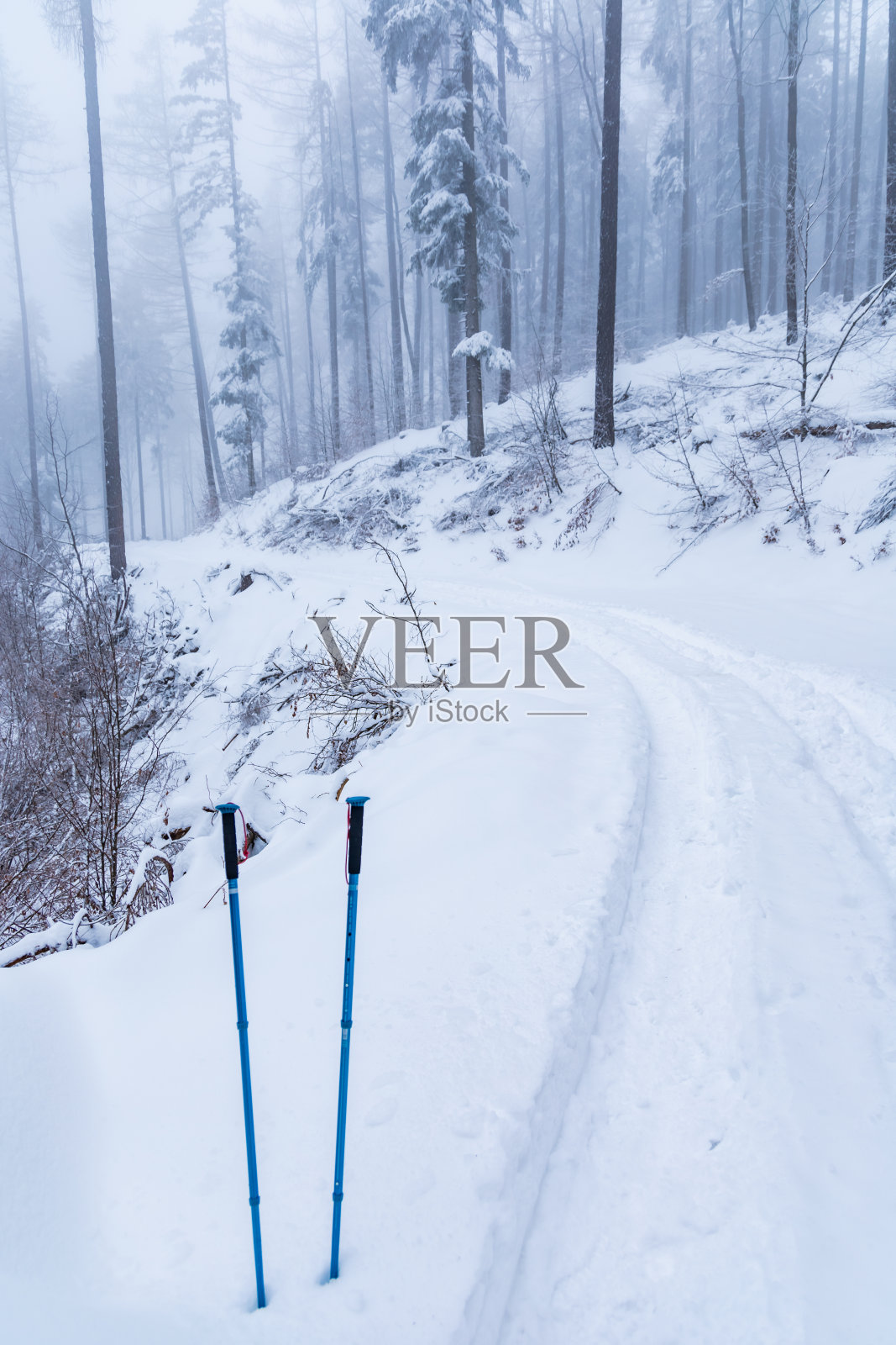 两根蓝色的登山杖插在雪地里，旁边是美丽的山路，到处都是新鲜的白雪，周围有高大的树木照片摄影图片