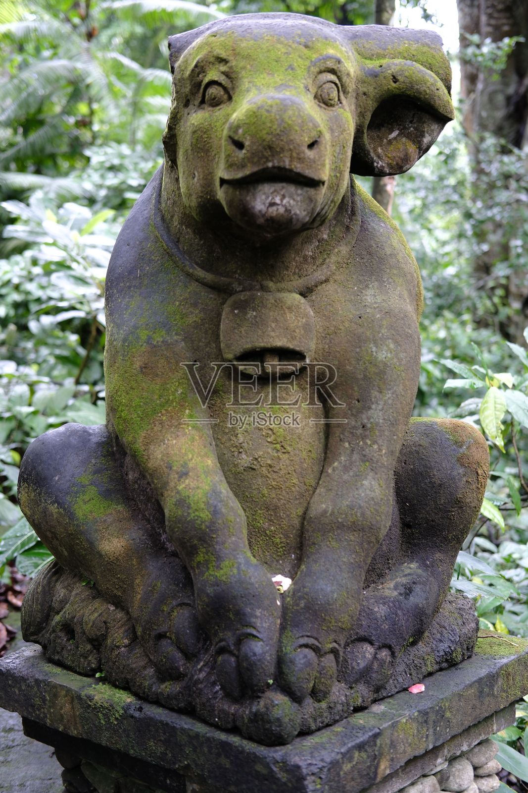 花园中长满苔藓的石像特写照片摄影图片