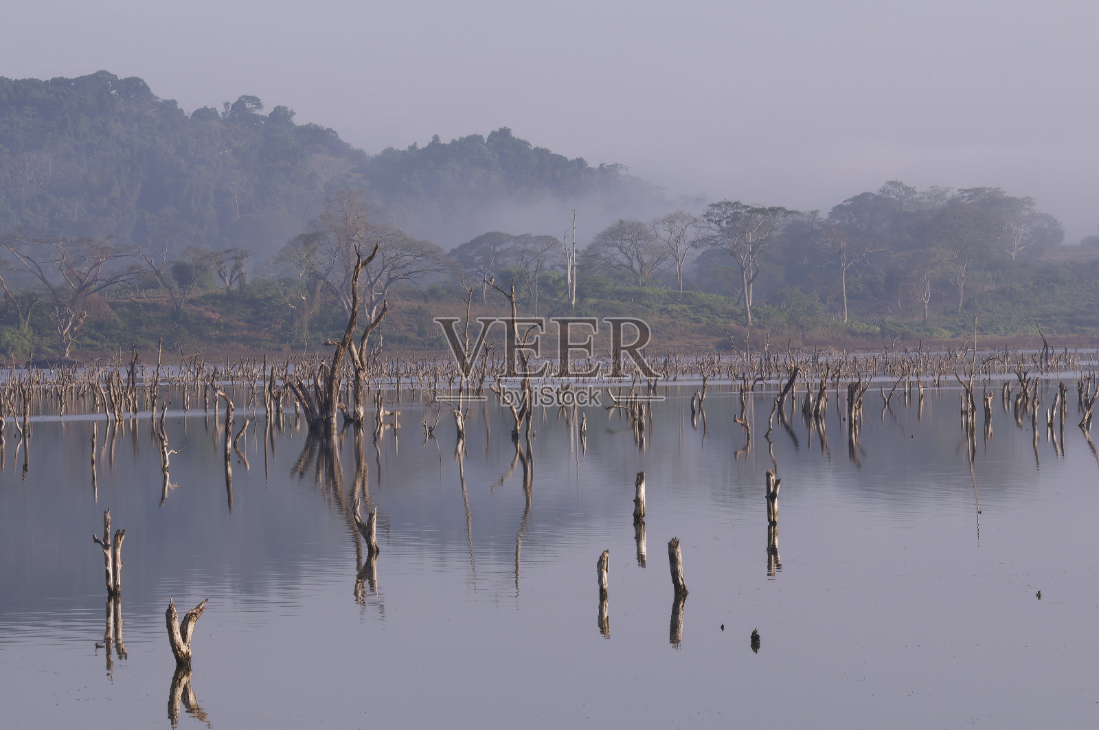 安达曼群岛照片摄影图片