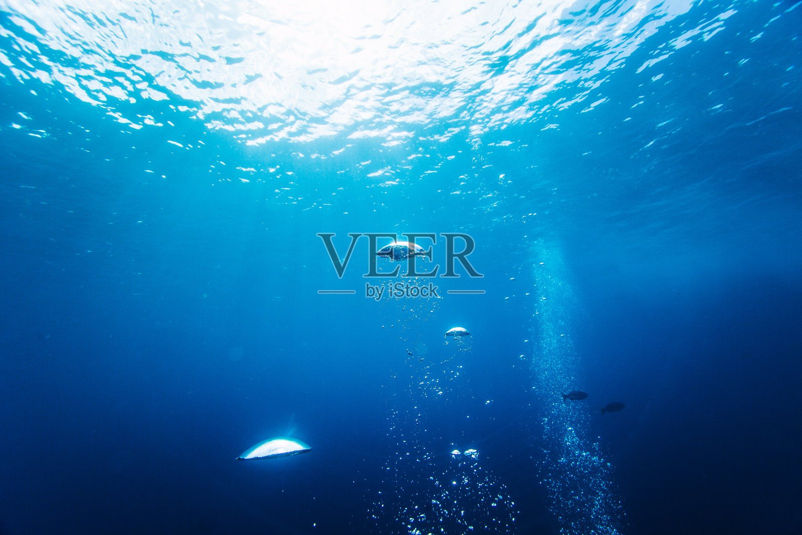 在海洋中潜水时，气泡随着光线上升到水面照片摄影图片