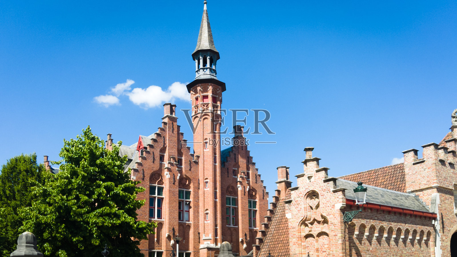 布鲁日越野障碍赛马照片摄影图片