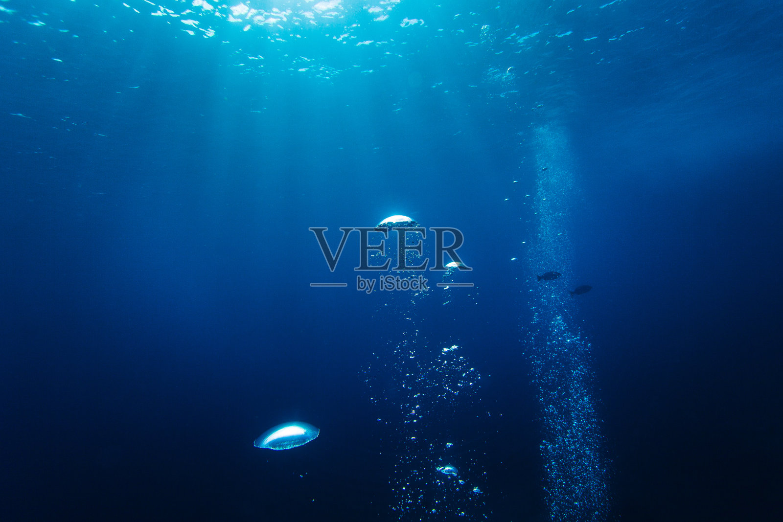 在海洋中潜水时，气泡随着光线上升到水面照片摄影图片