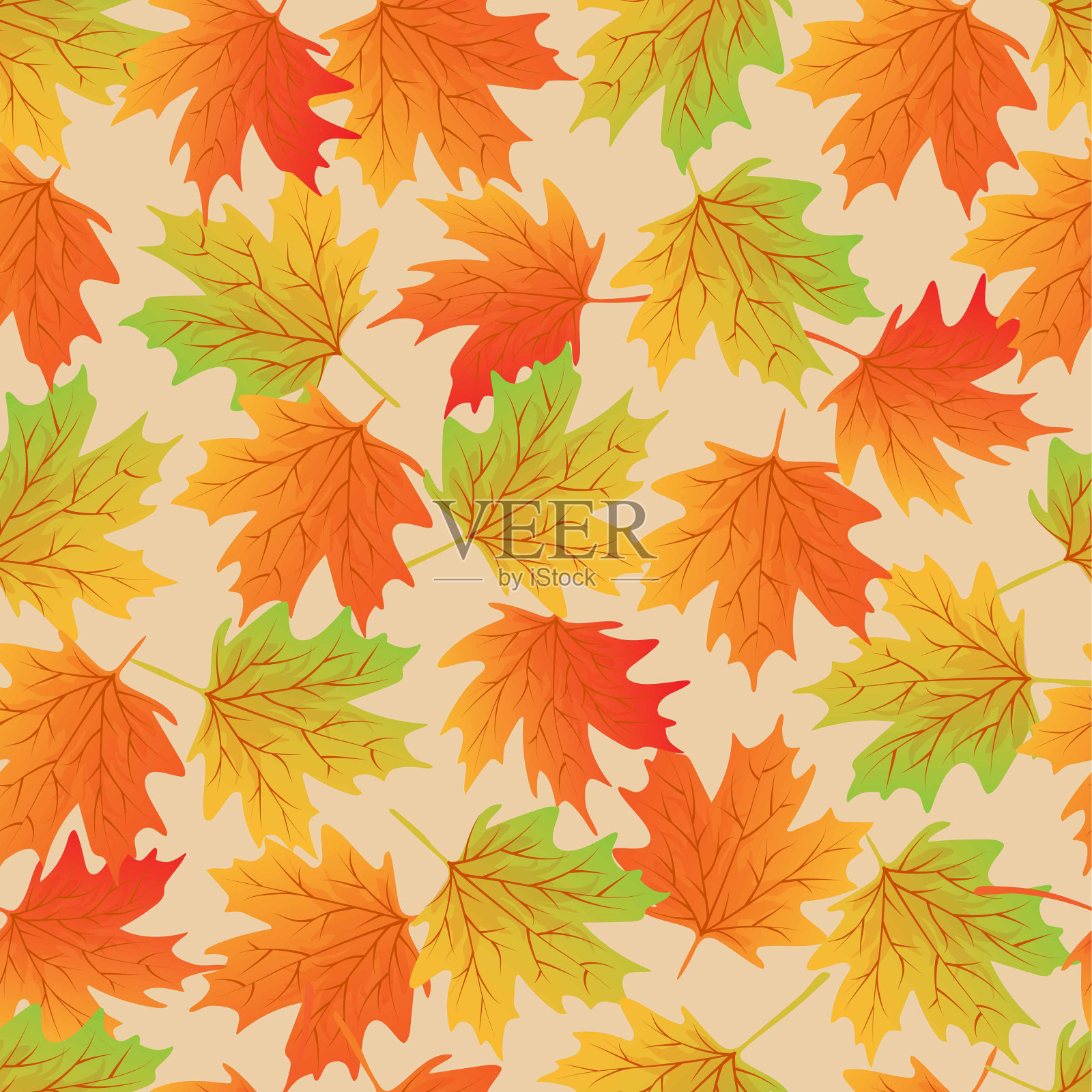 无缝图案与手绘彩色枫叶。插画图片素材