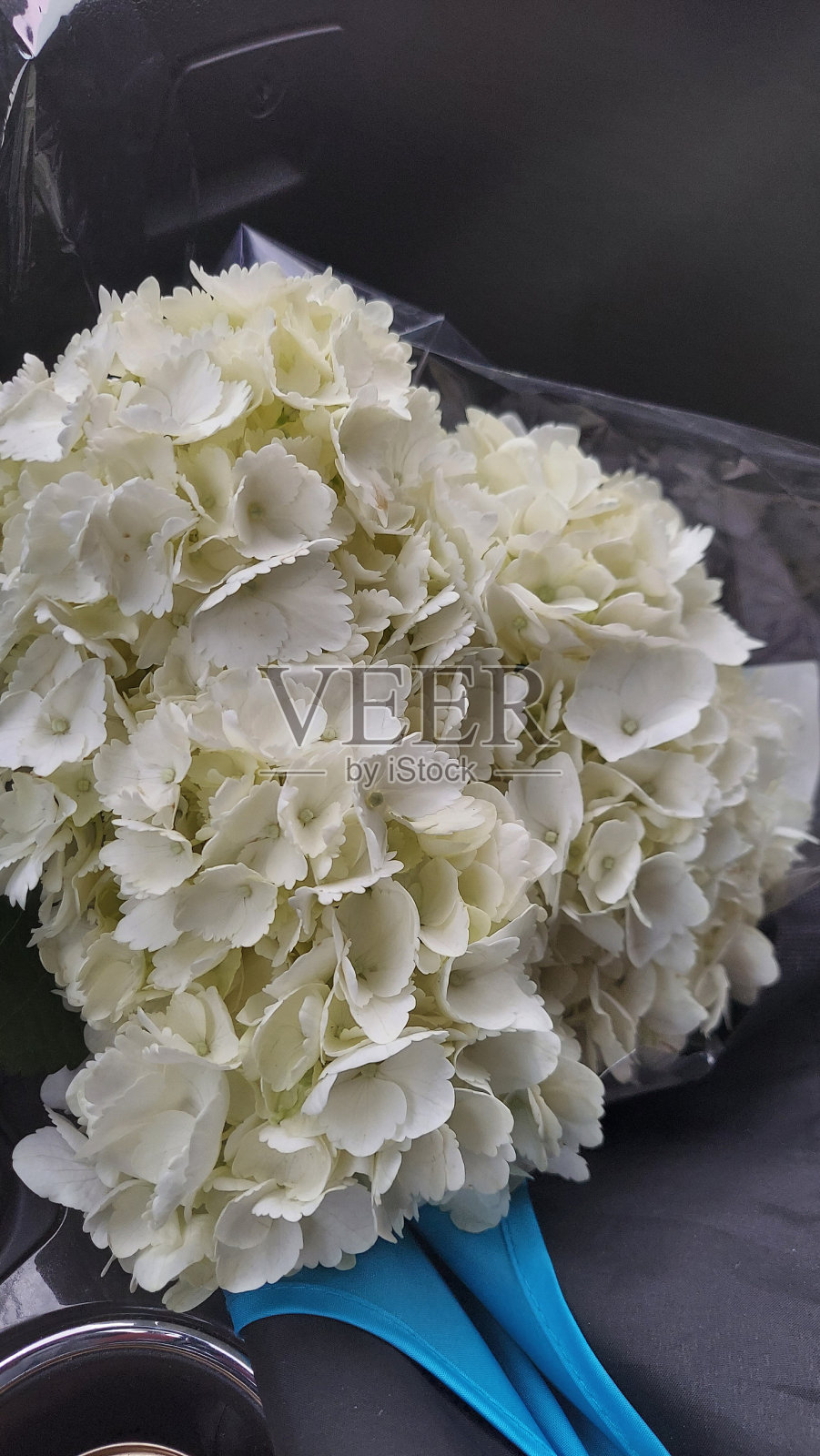 美丽的照片摄影图片