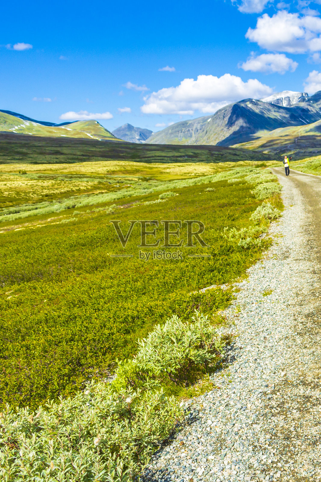 挪威朗丹国家公园美丽的山景和自然景观全景。照片摄影图片