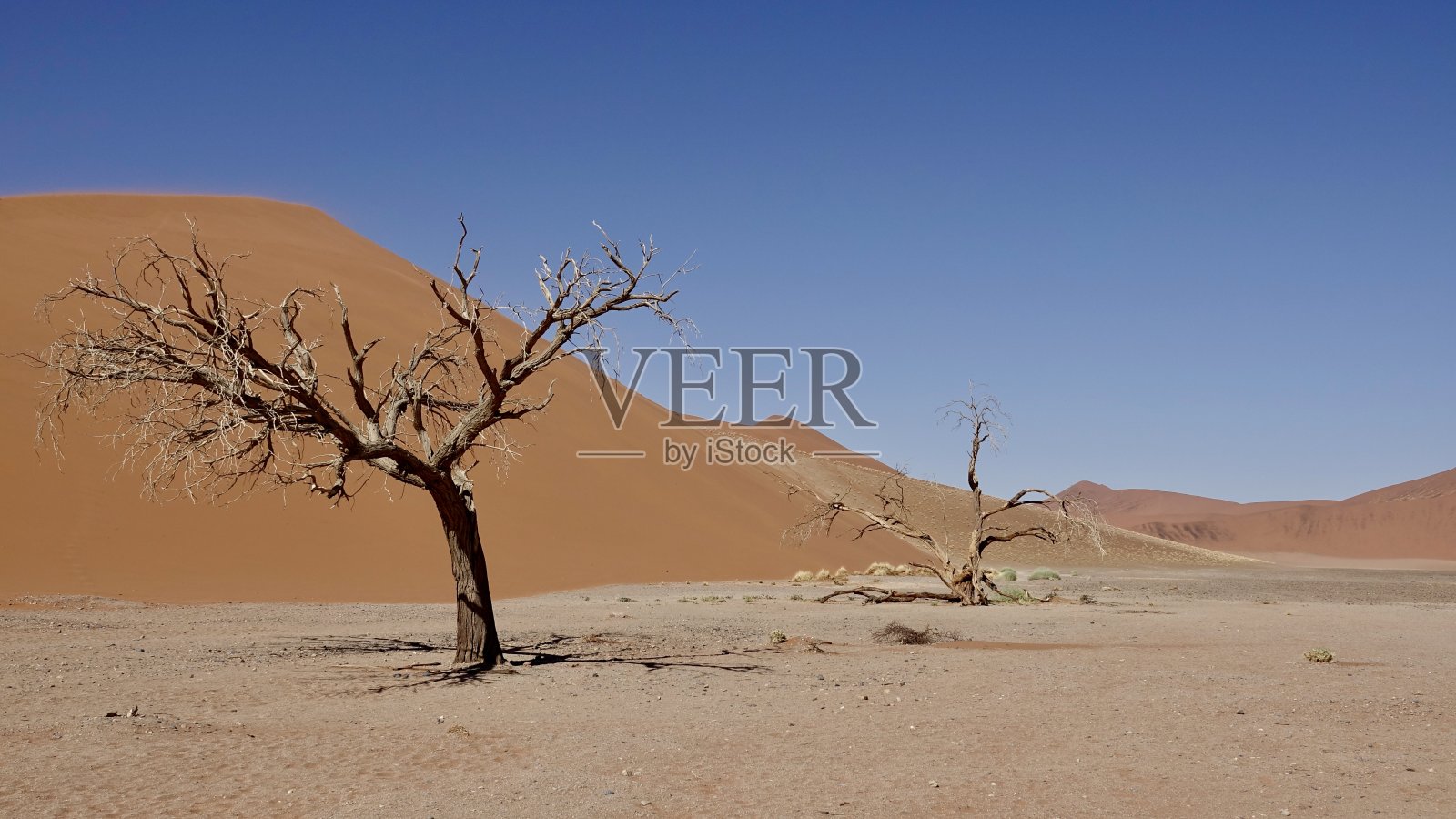 纳米比亚的纳米布沙漠照片摄影图片